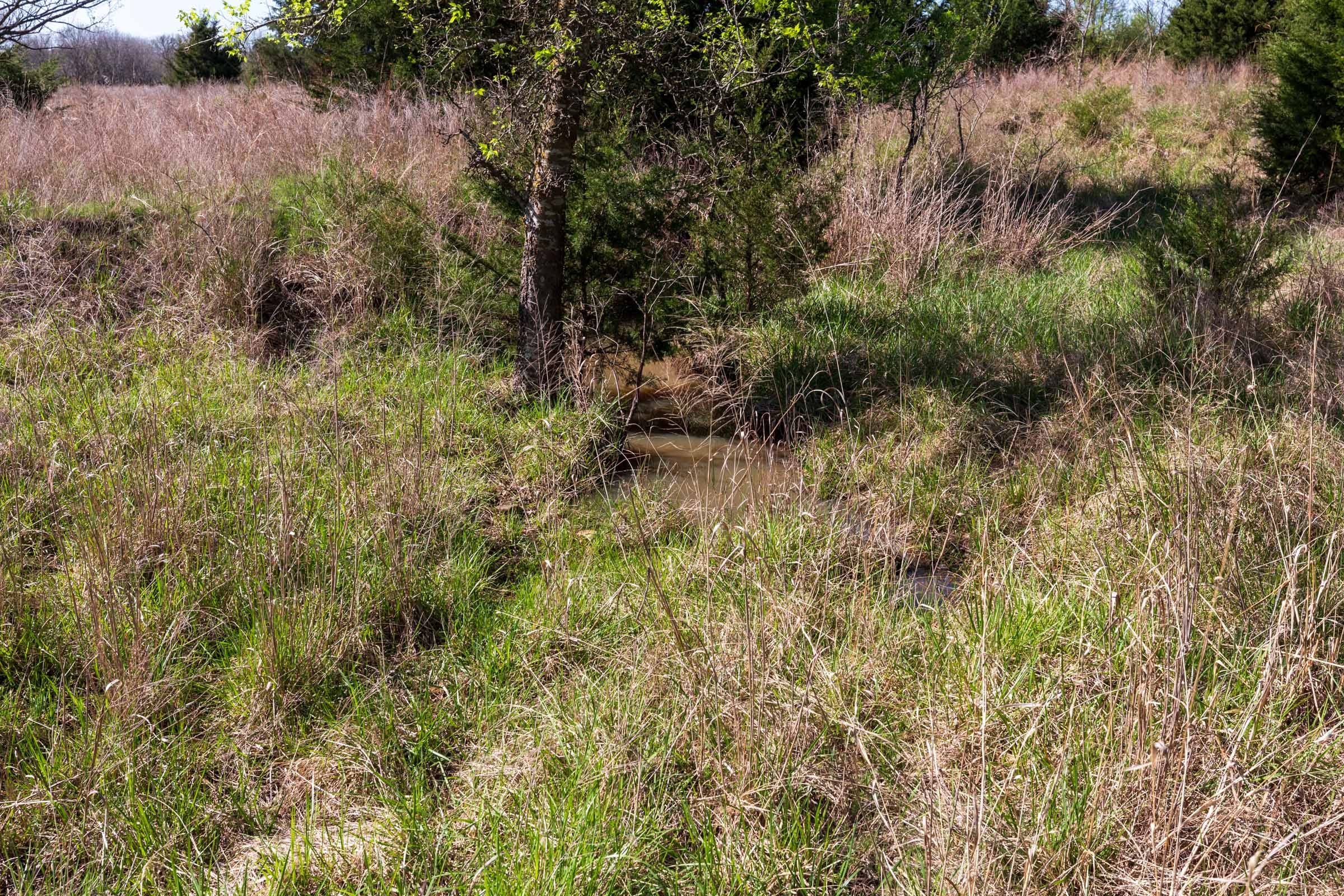 Prairie Grove Tract 9 photo 15