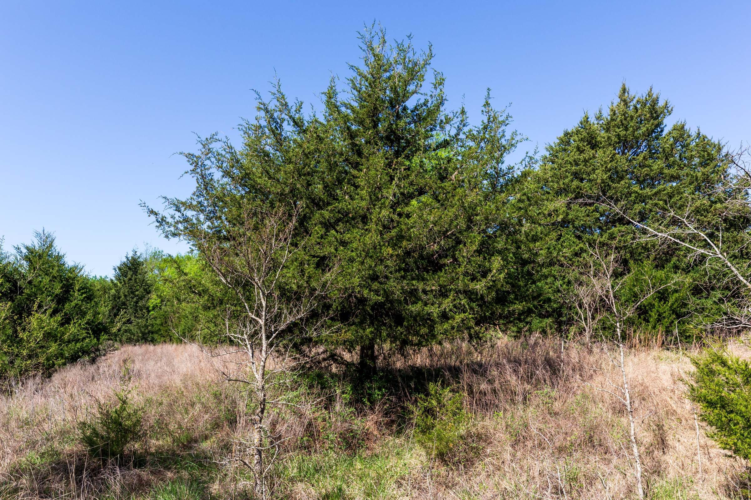 Prairie Grove Tract 9 photo 16