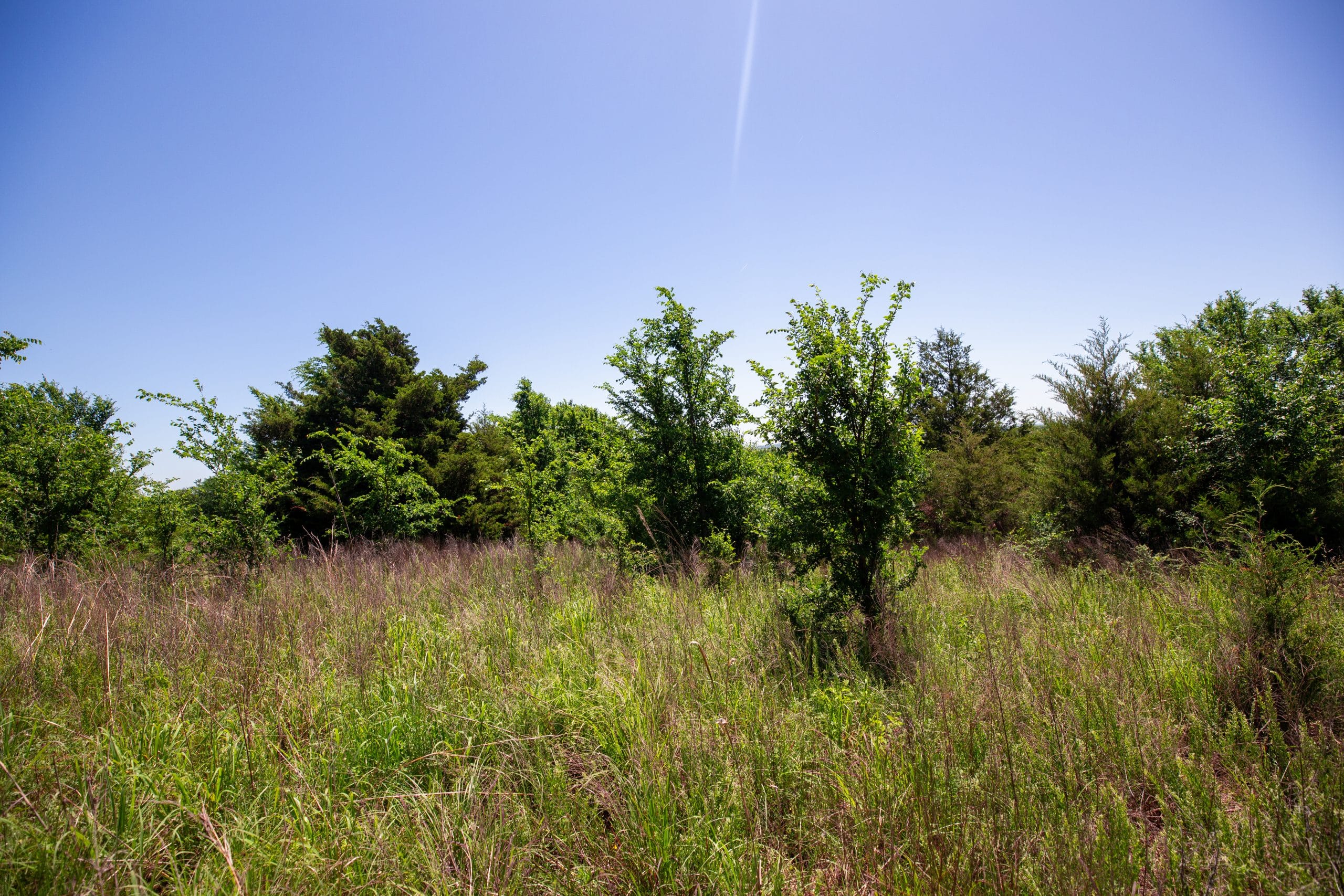 Prairie Grove Tract 9 photo 6