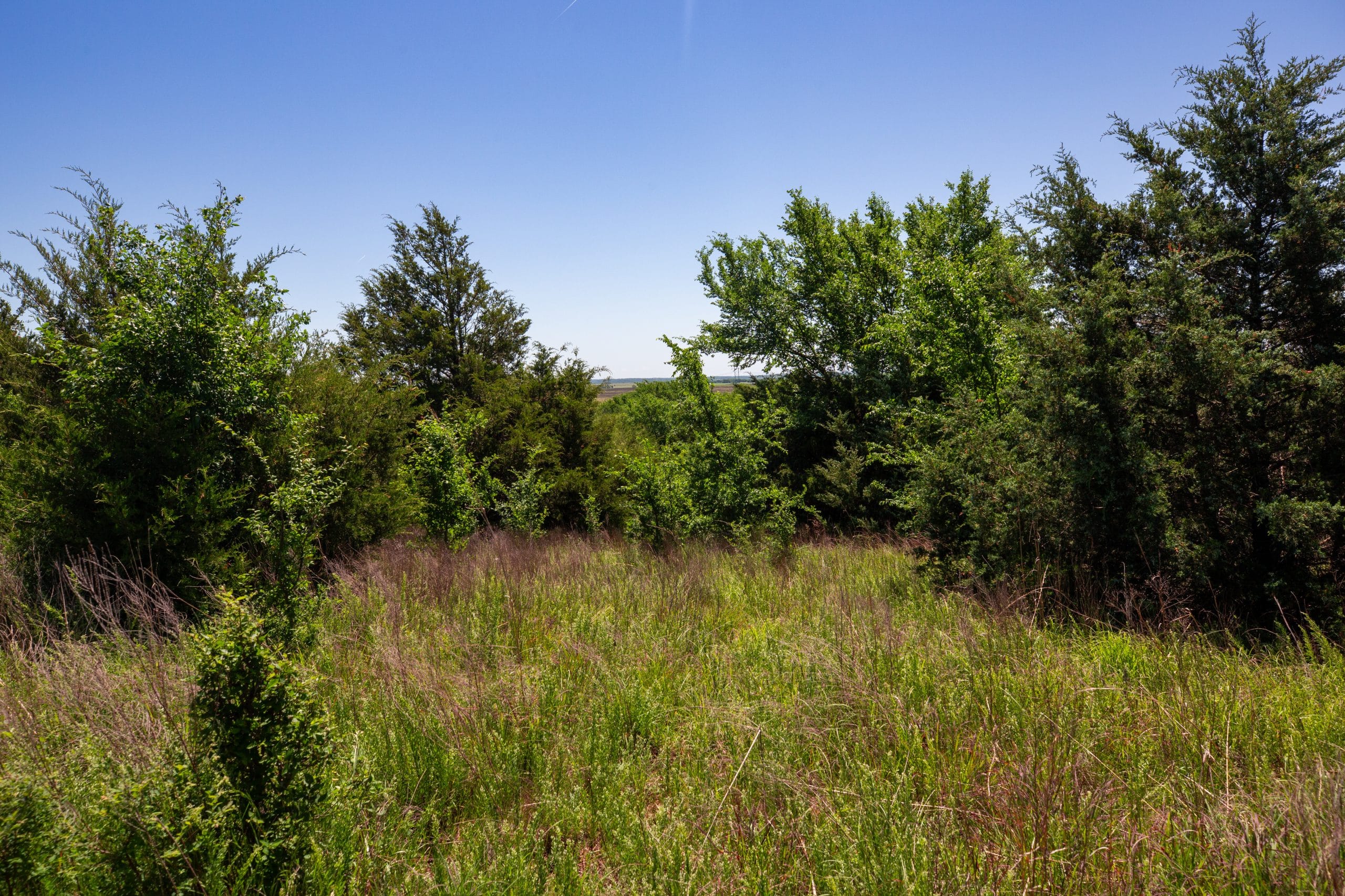 Prairie Grove Tract 9 photo 8