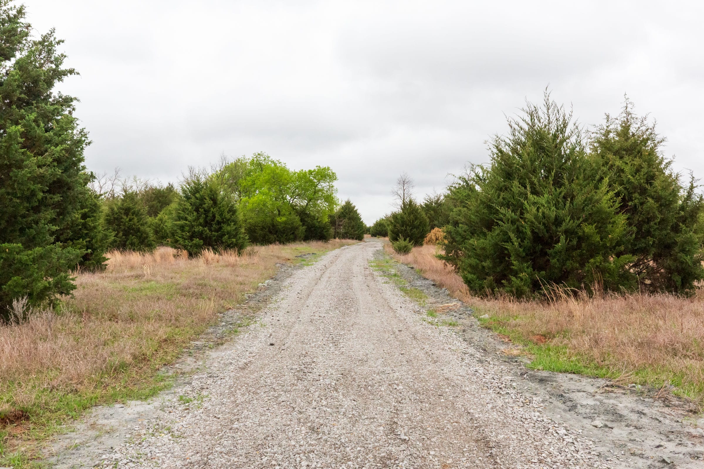 Moonrise Meadows Tract 1 photo 5