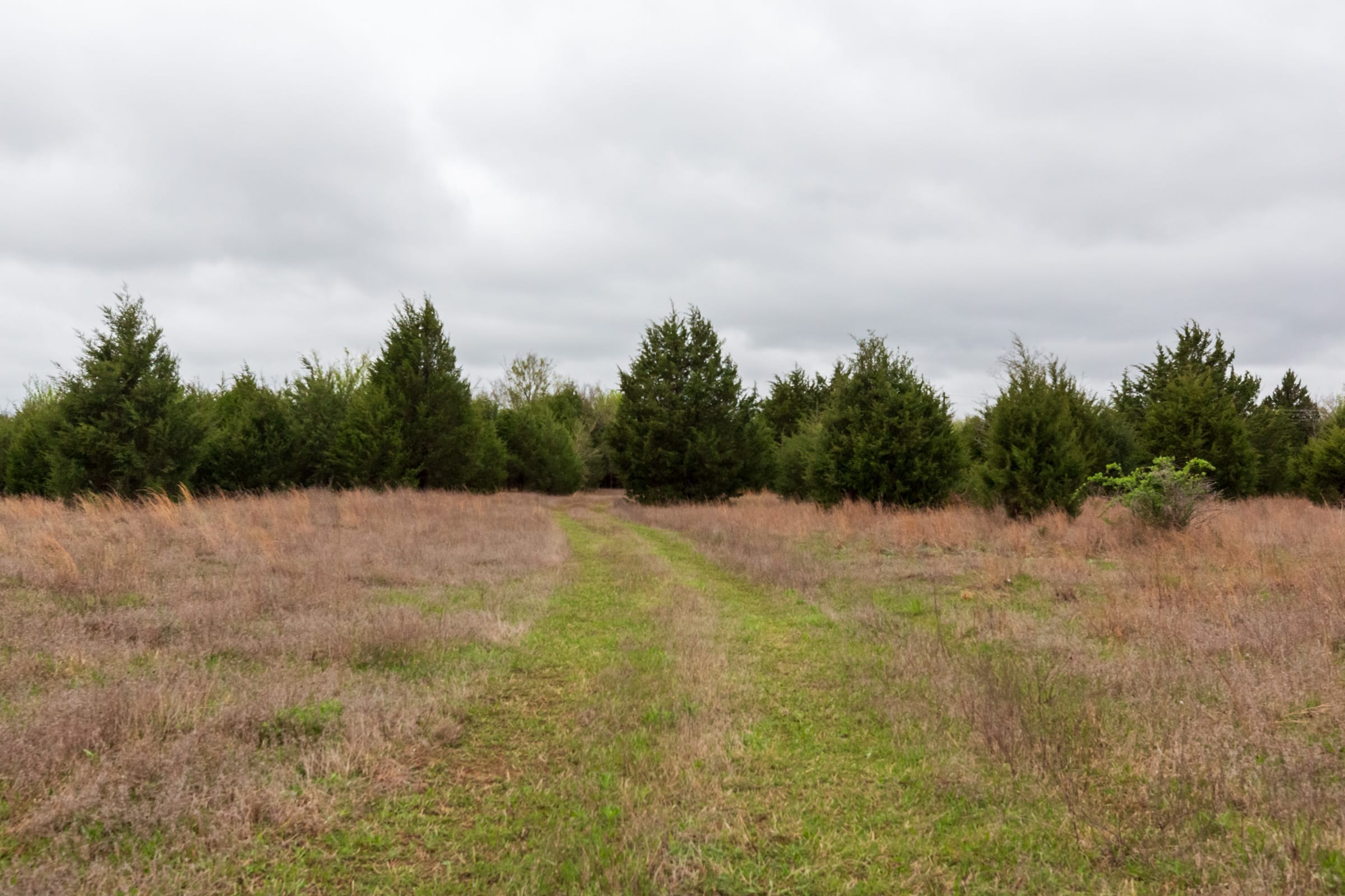 Moonrise Meadows Tract 1 photo 10