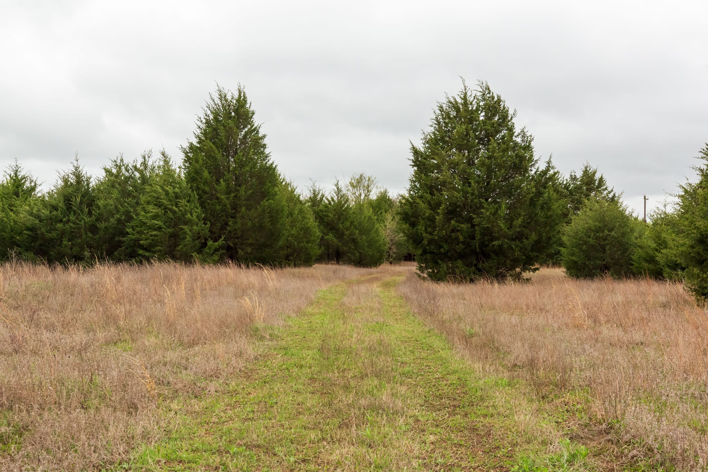 Moonrise Meadows Tract 1 photo 1