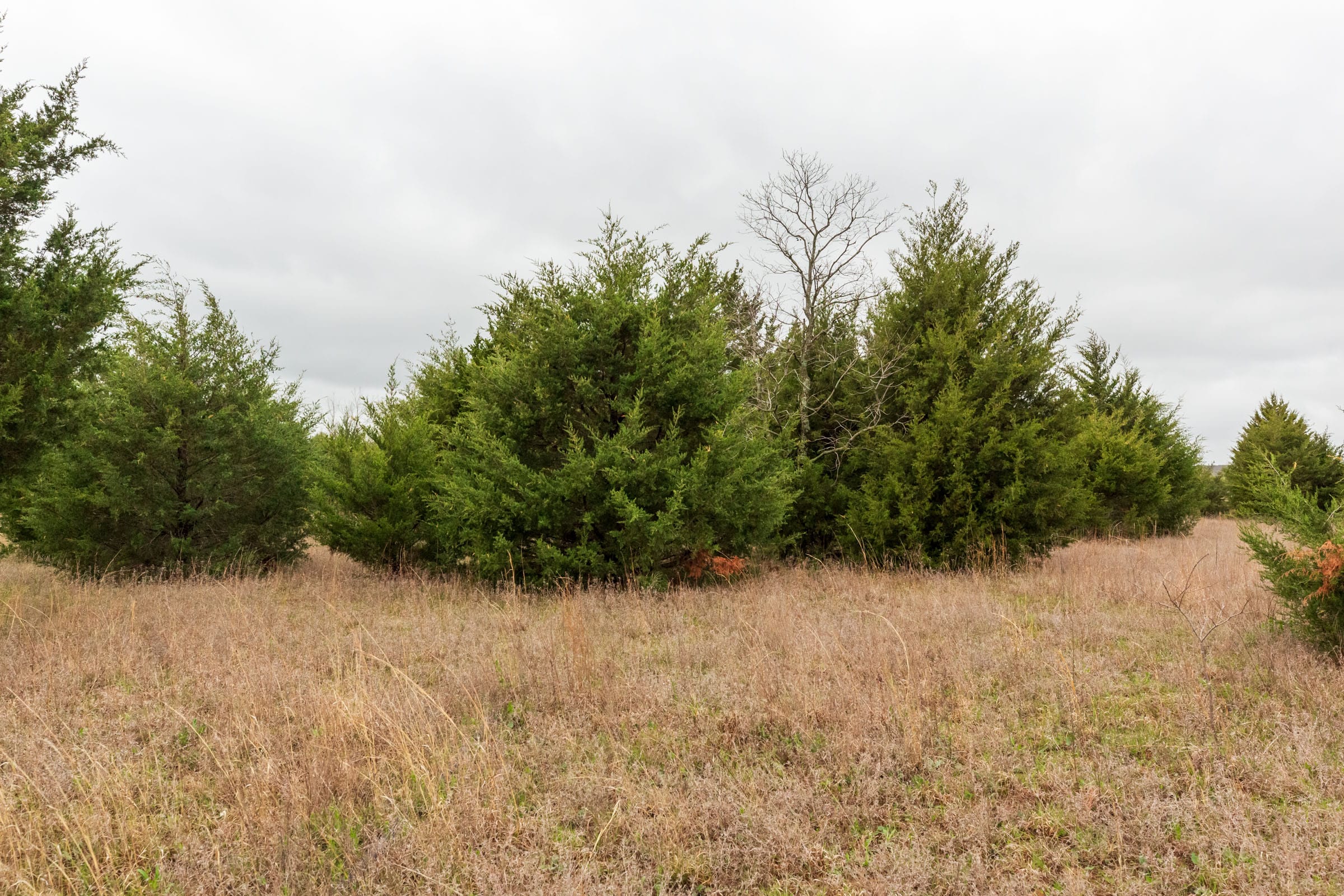 Moonrise Meadows Tract 1 photo 4