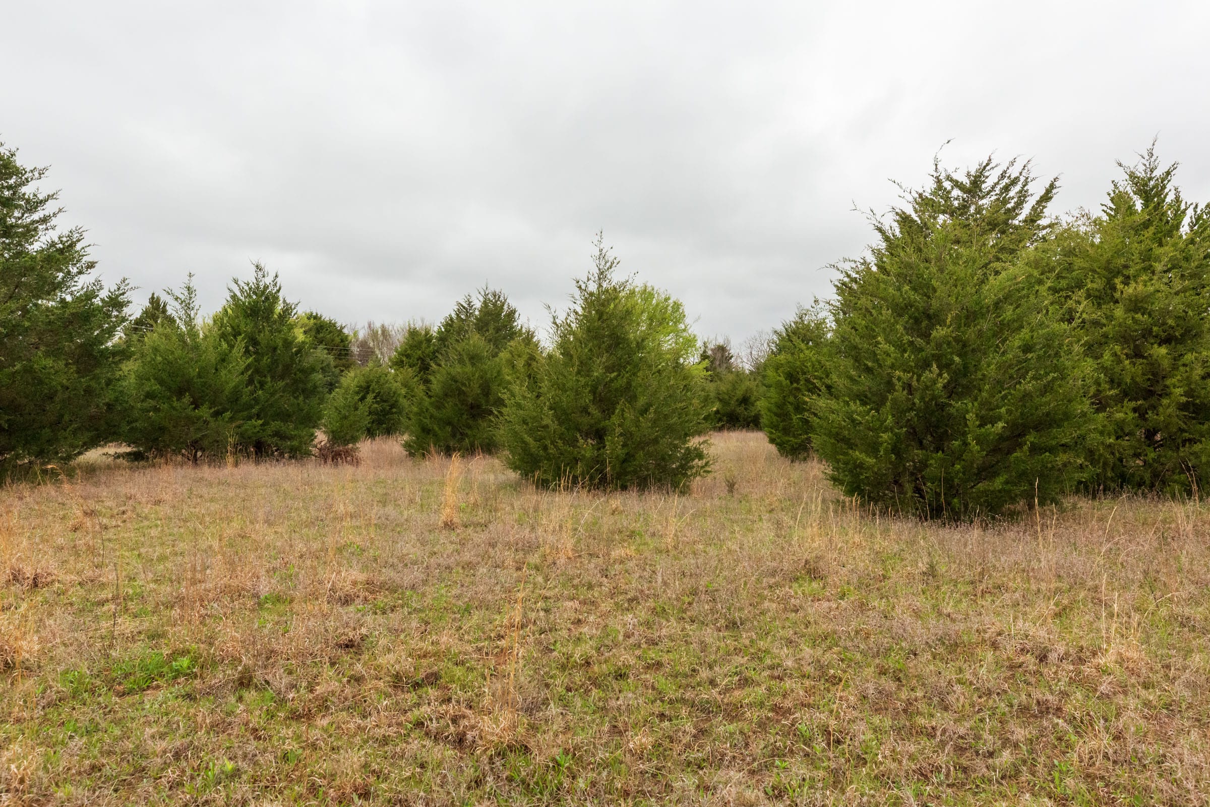 Moonrise Meadows Tract 1 photo 6