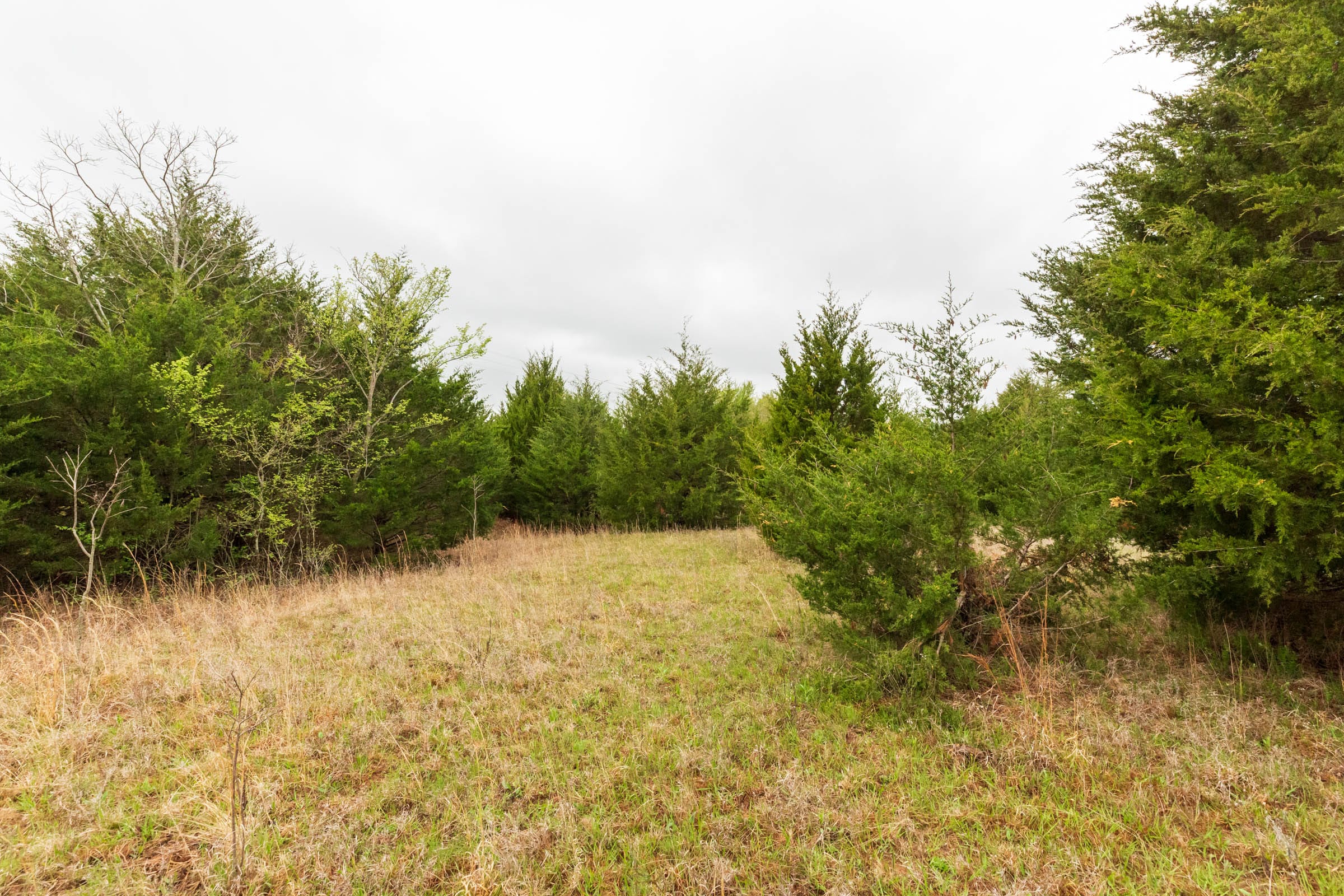 Moonrise Meadows Tract 1 photo 8