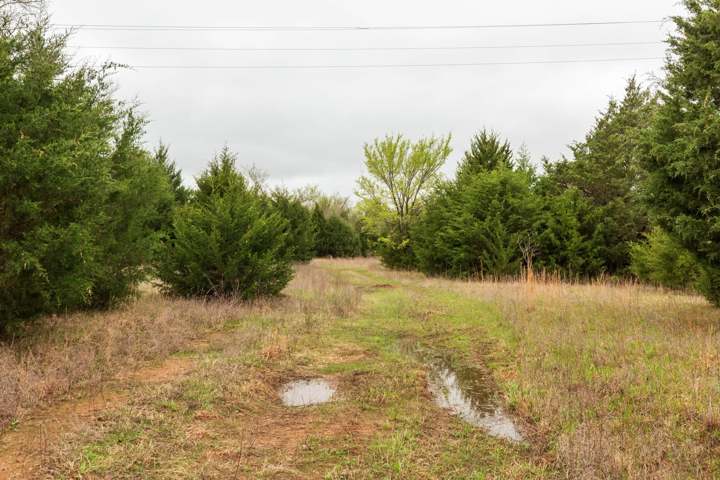 Moonrise Meadows Tract 1 photo 16