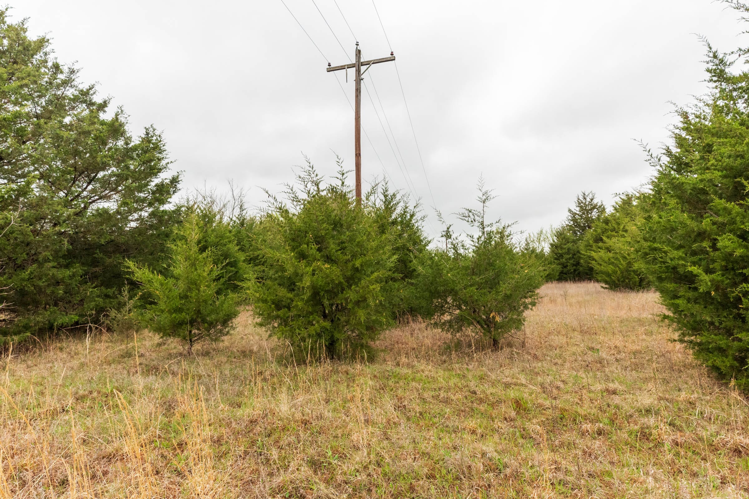 Moonrise Meadows Tract 1 photo 3