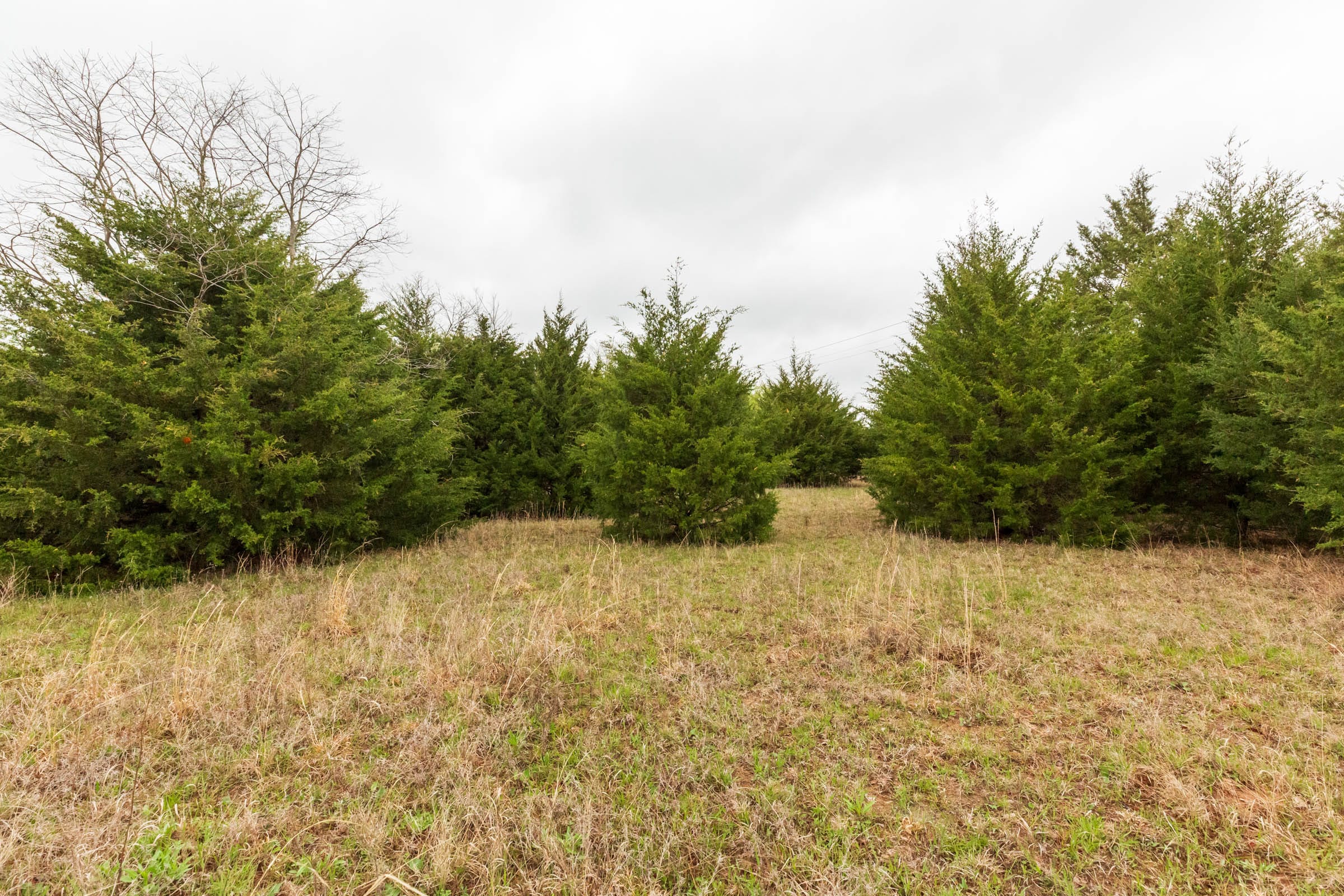 Moonrise Meadows Tract 1 photo 19