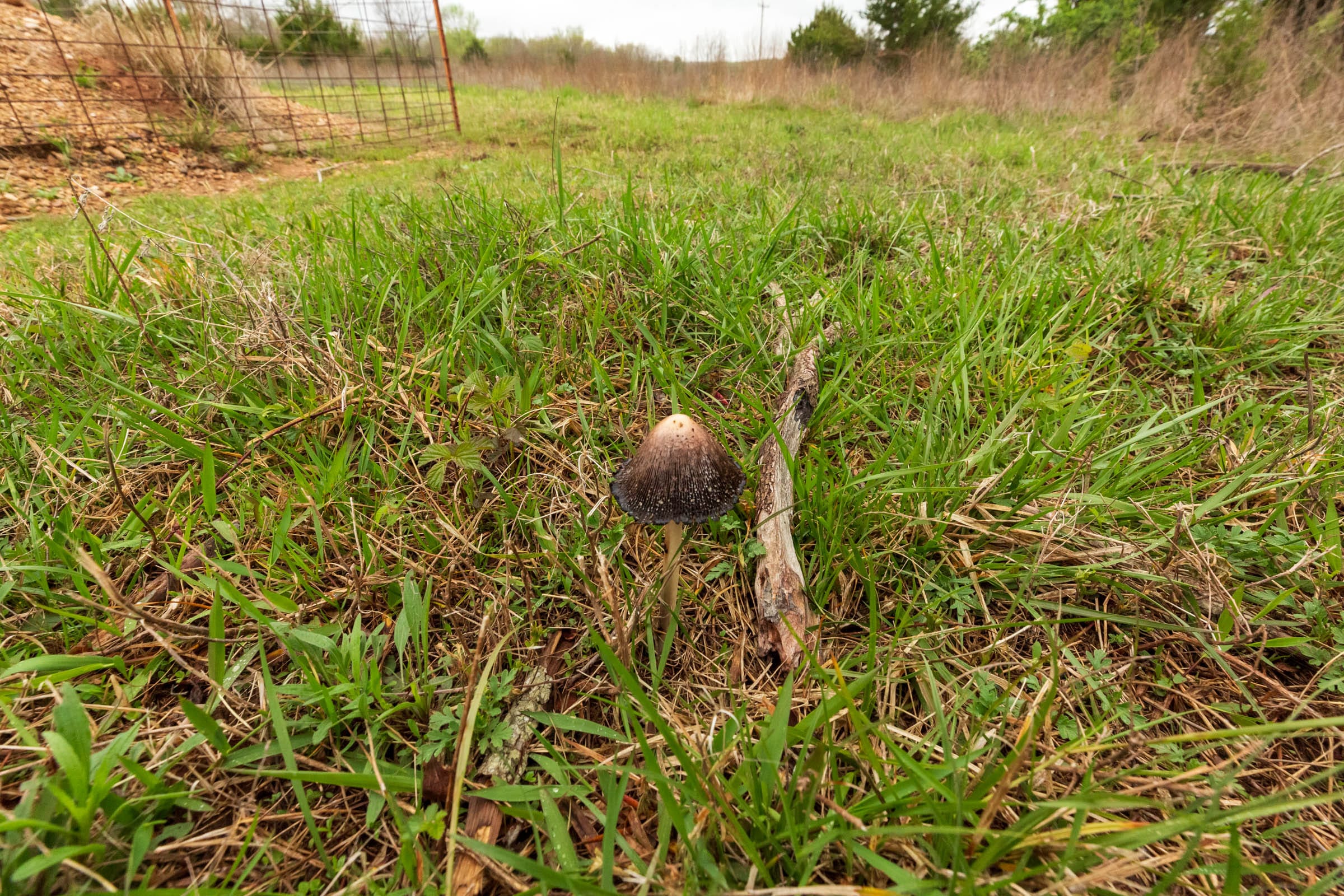 Moonrise Meadows Tract 1 photo 7