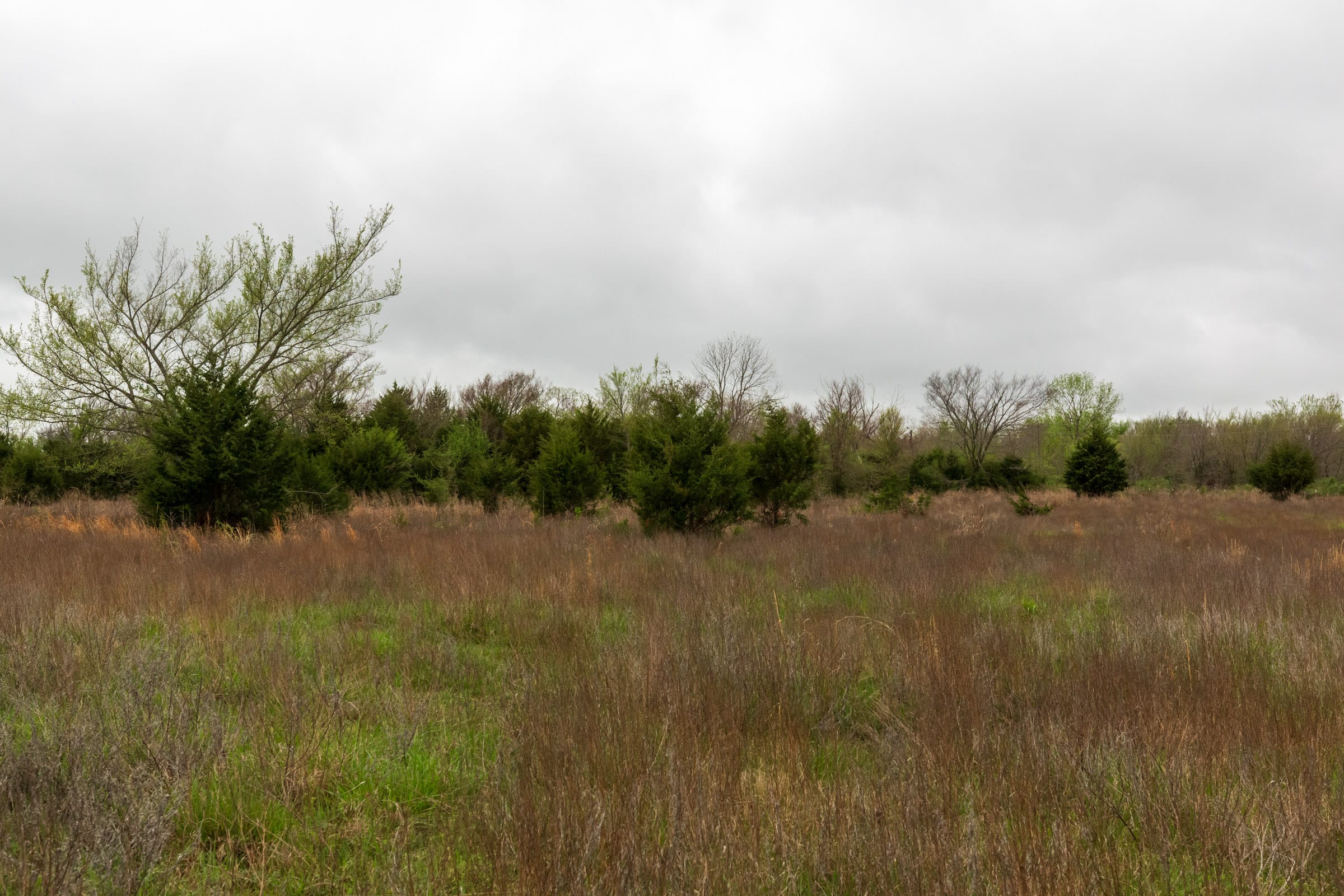 Moonrise Meadows Tract 1 photo 24