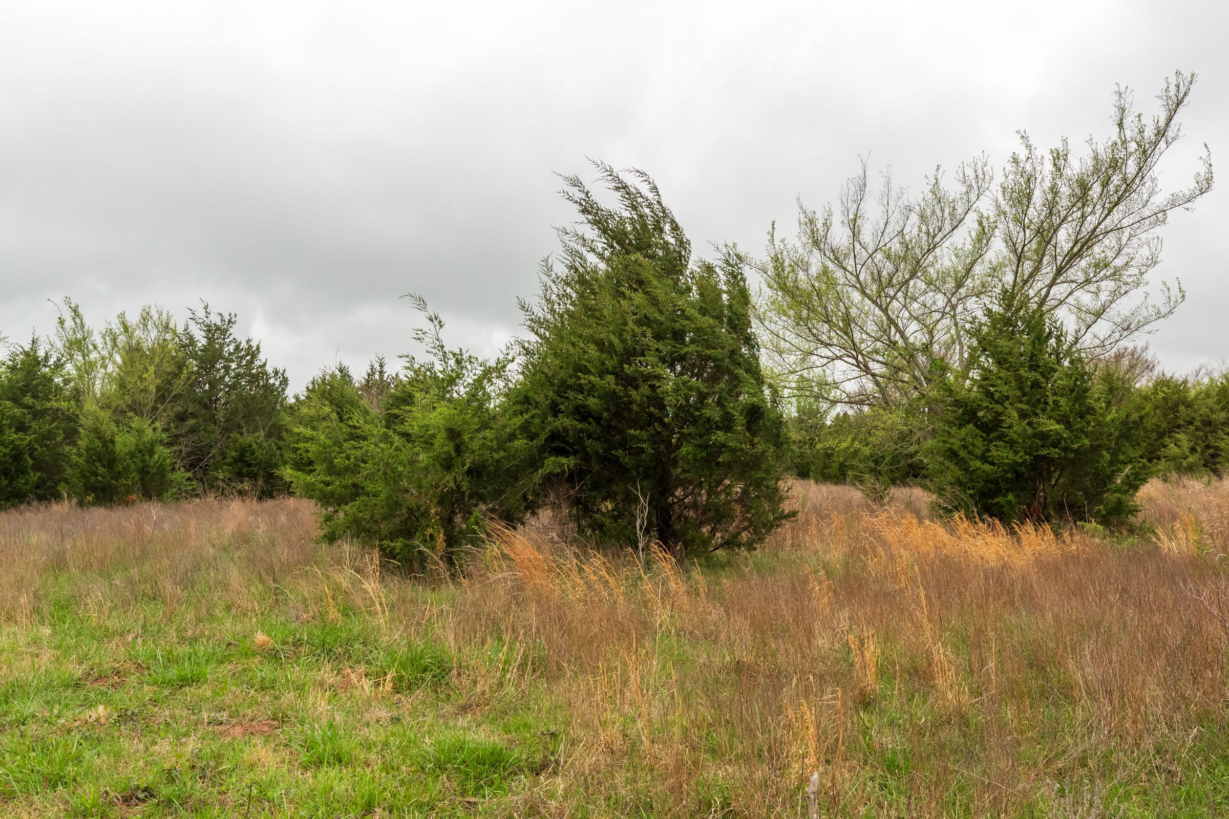 Moonrise Meadows Tract 1 photo 25