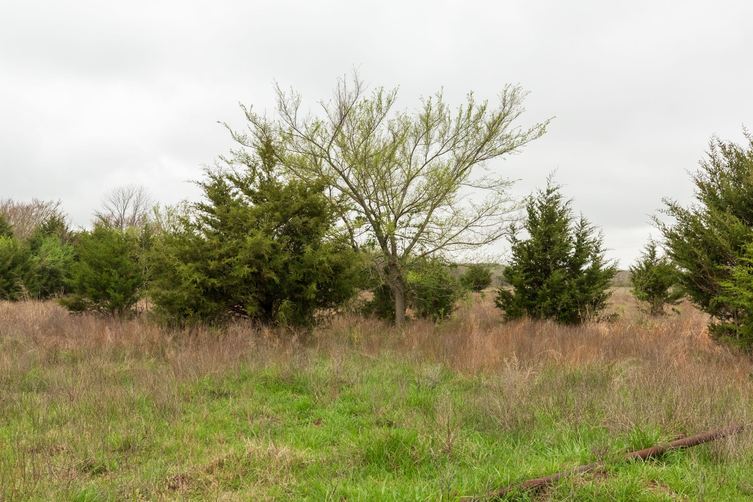 Moonrise Meadows Tract 1 photo 23