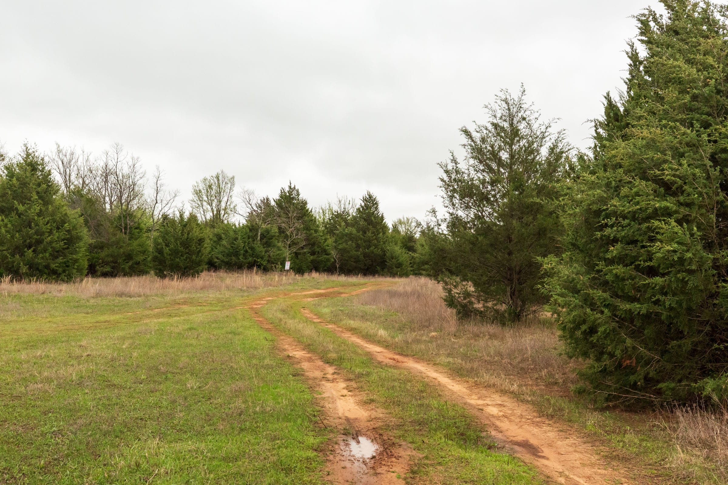 Moonrise Meadows Tract 1 photo 18