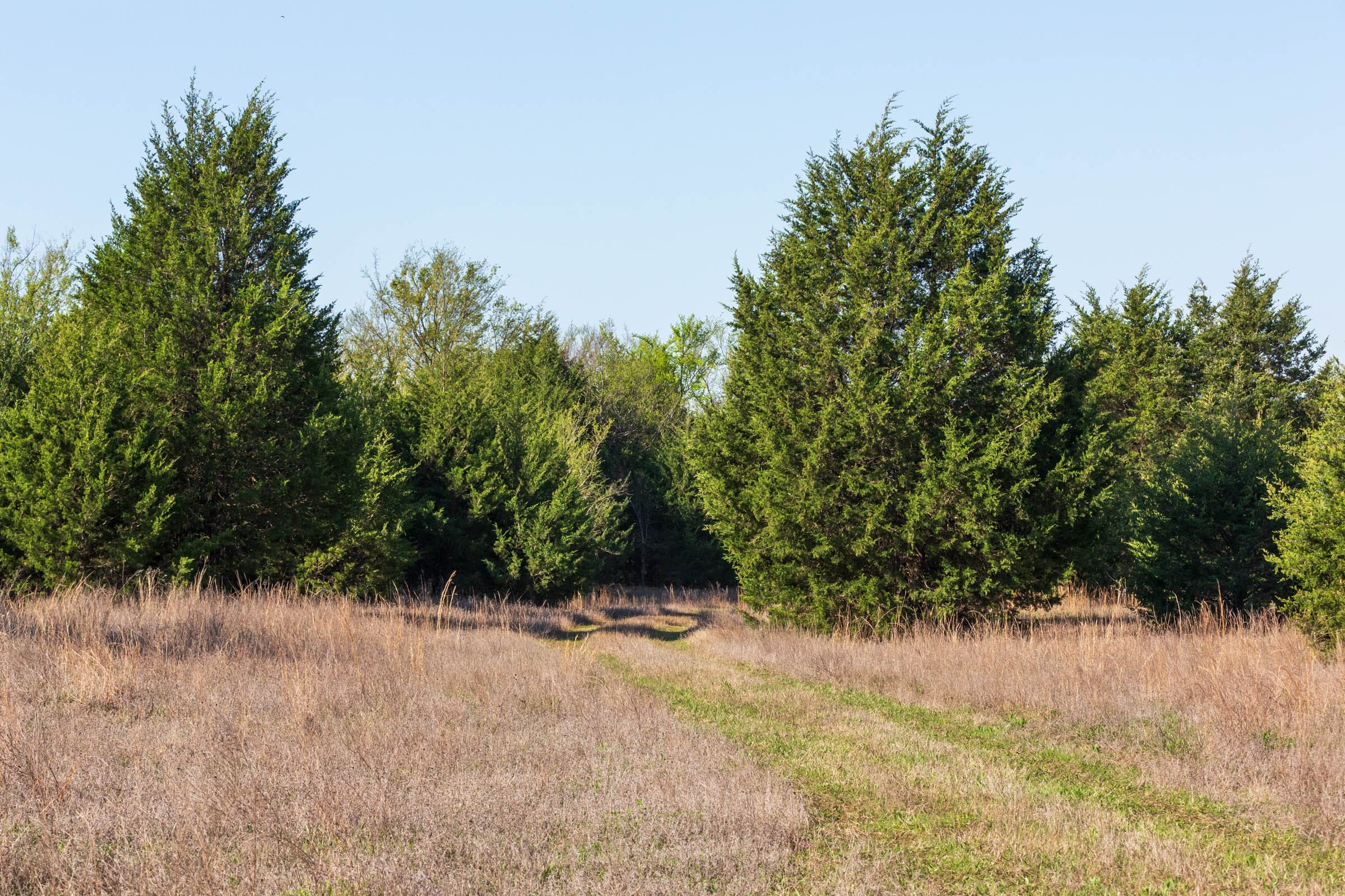Moonrise Meadows Tract 1 photo 26