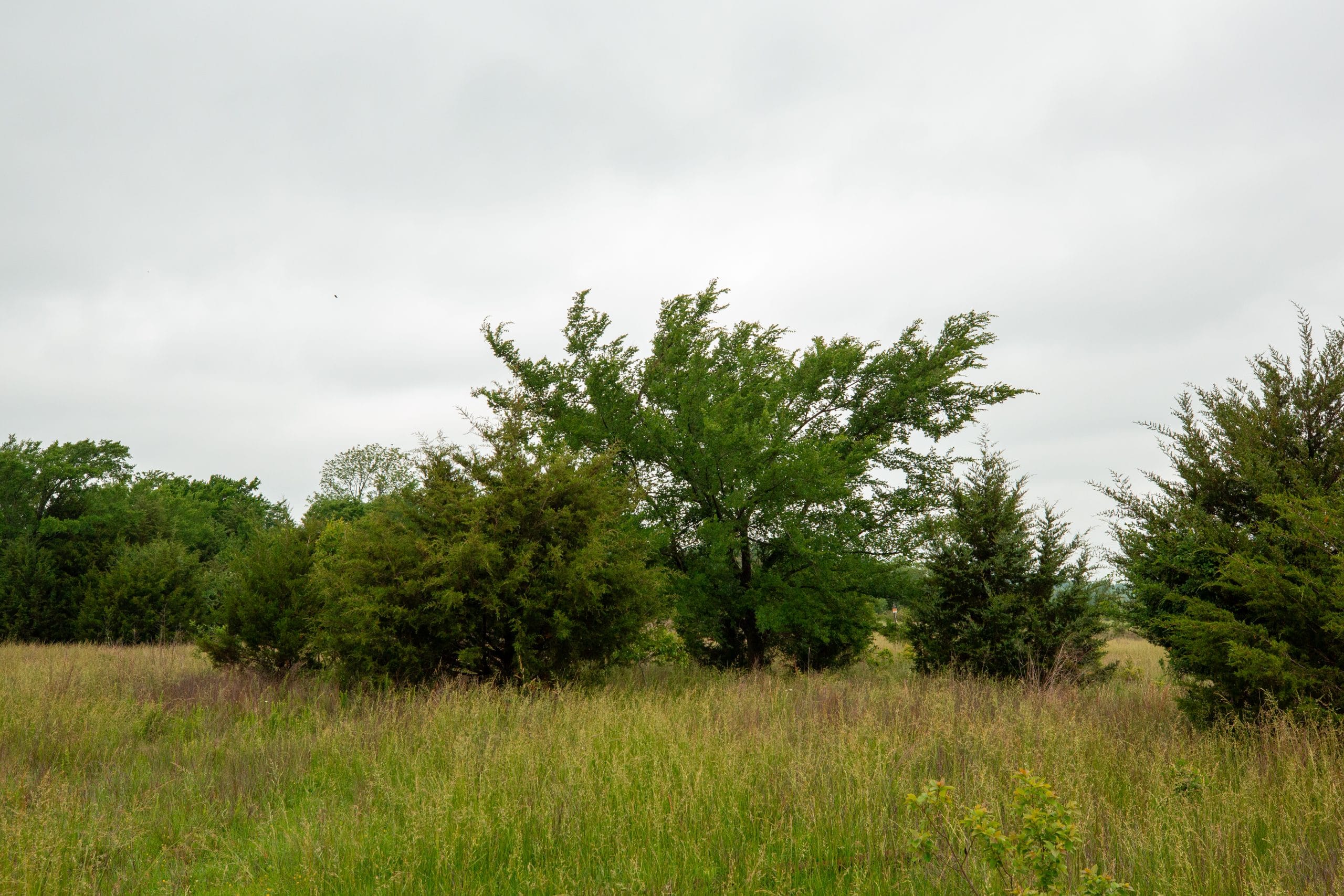 Moonrise Meadows Tract 1 photo 27