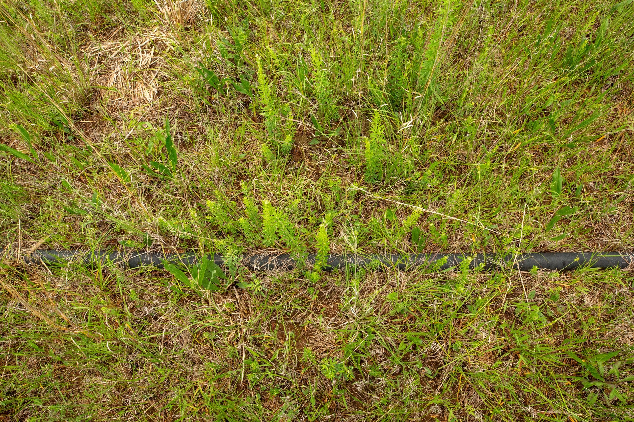 Moonrise Meadows Tract 1 photo 28