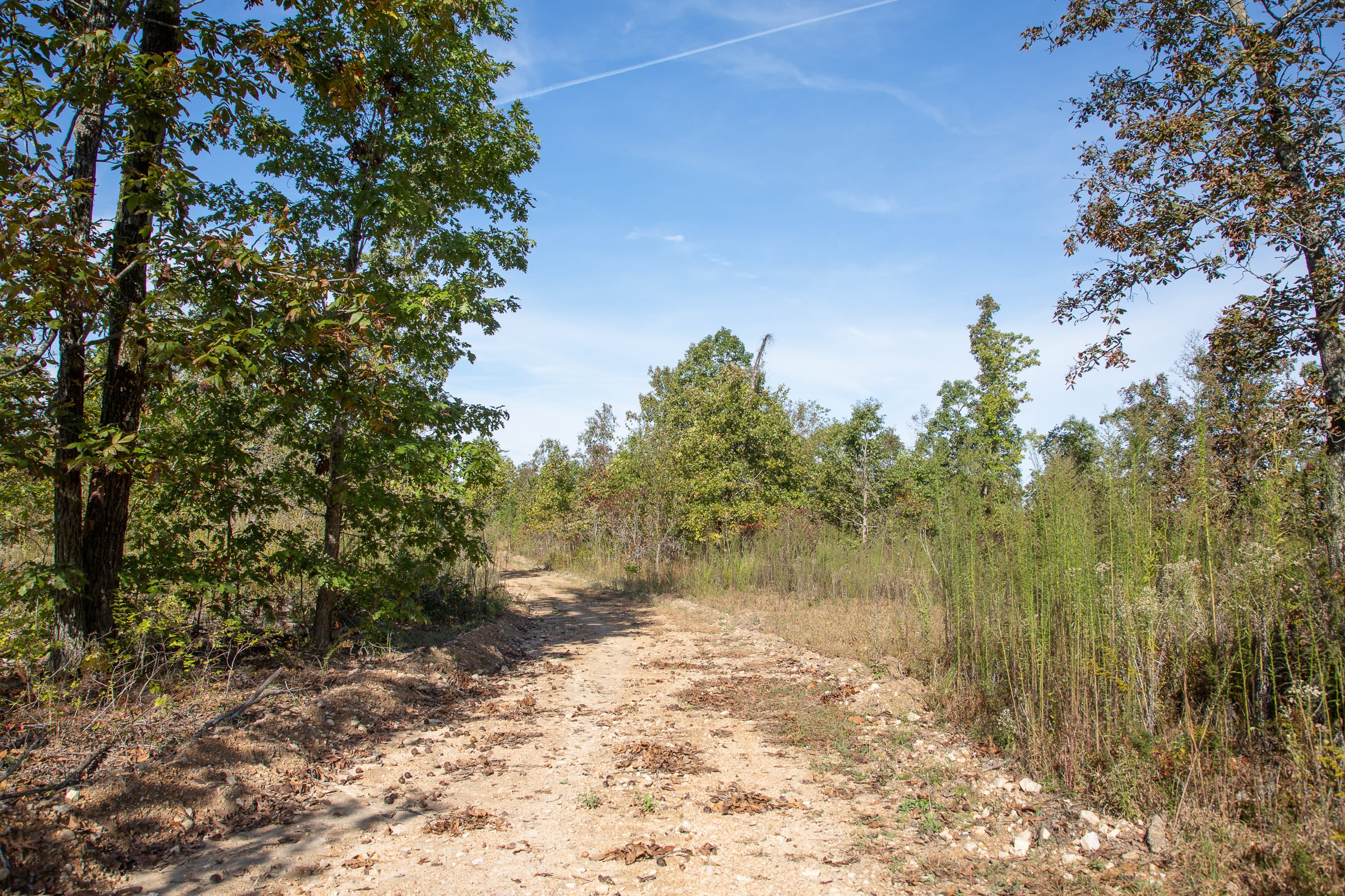 Borgmann’s Hollow Phase IV Tract 128 photo 2