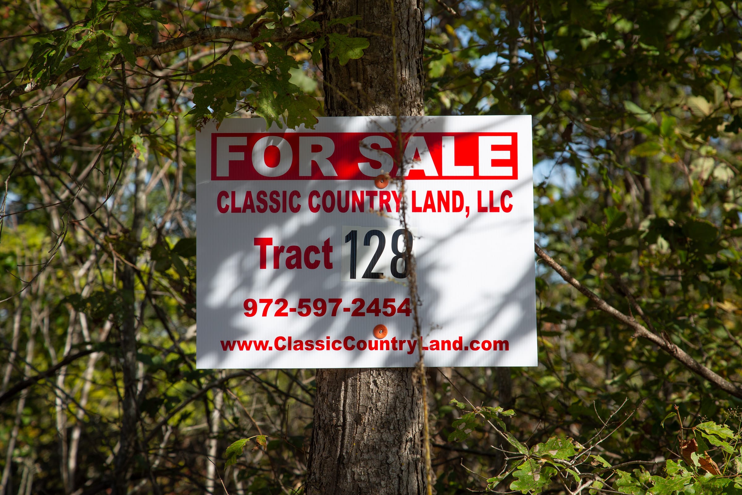 Borgmann’s Hollow Phase IV Tract 128 photo 1