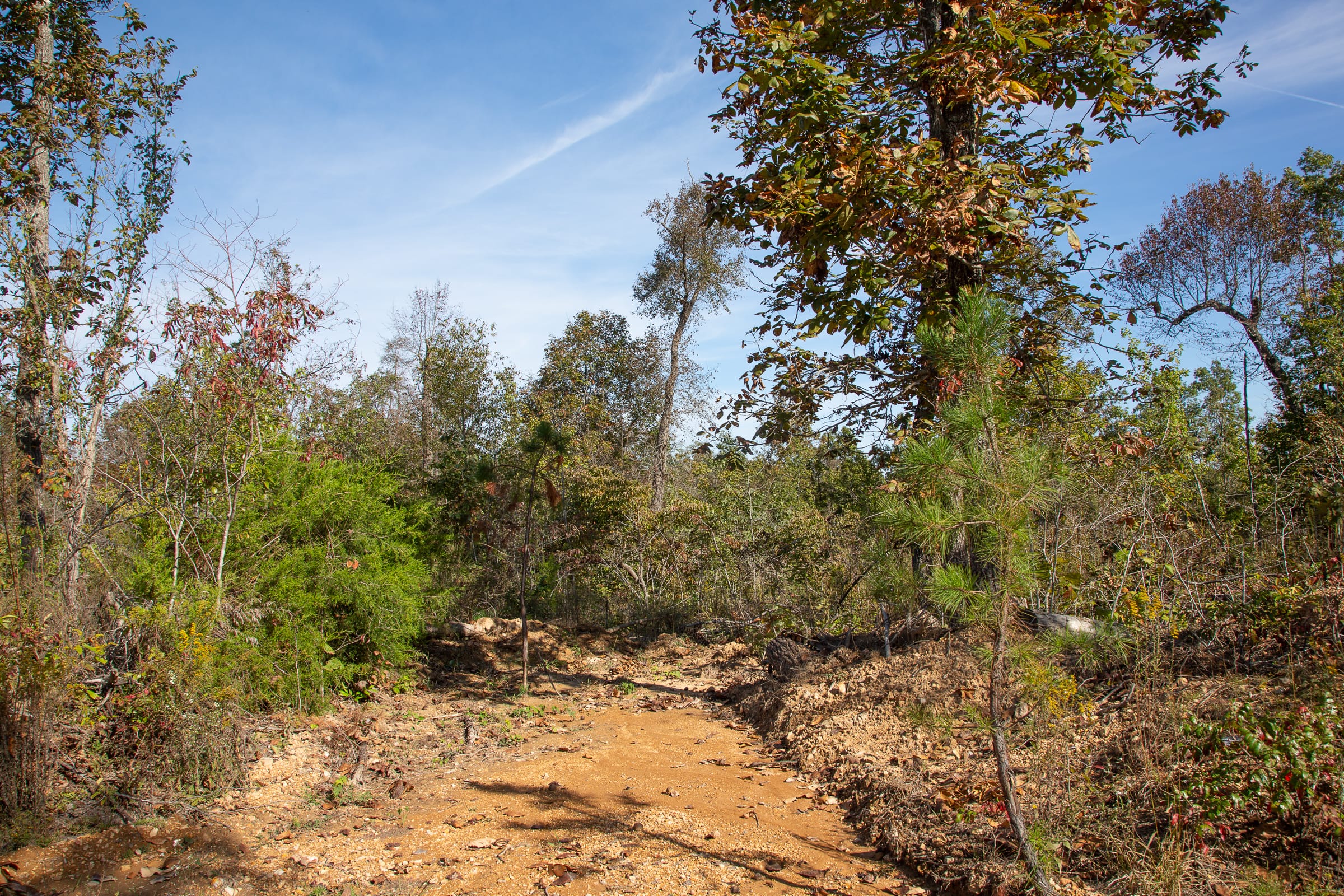 Borgmann’s Hollow Phase IV Tract 128 photo 11