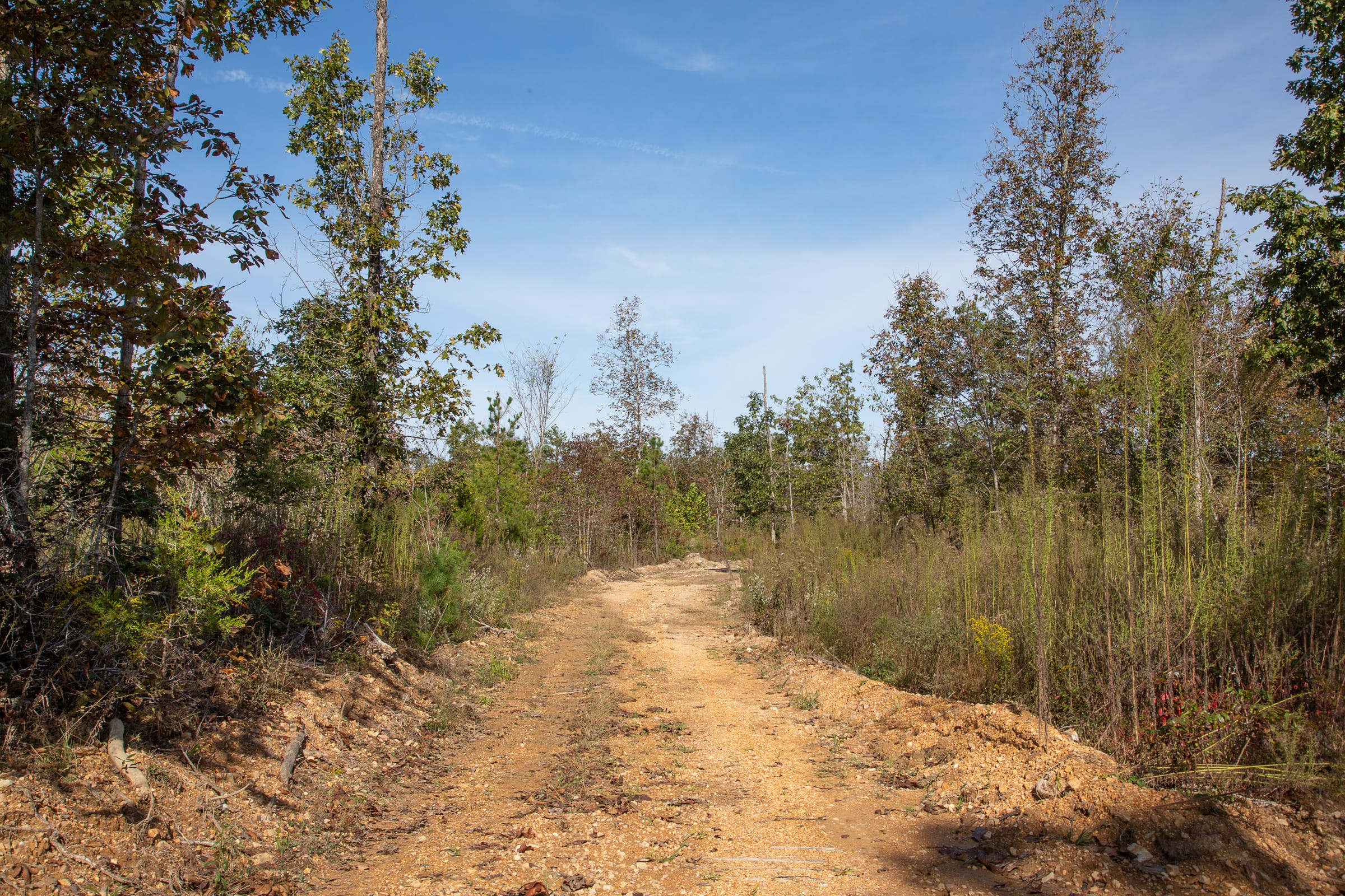 Borgmann’s Hollow Phase IV Tract 128 photo 13