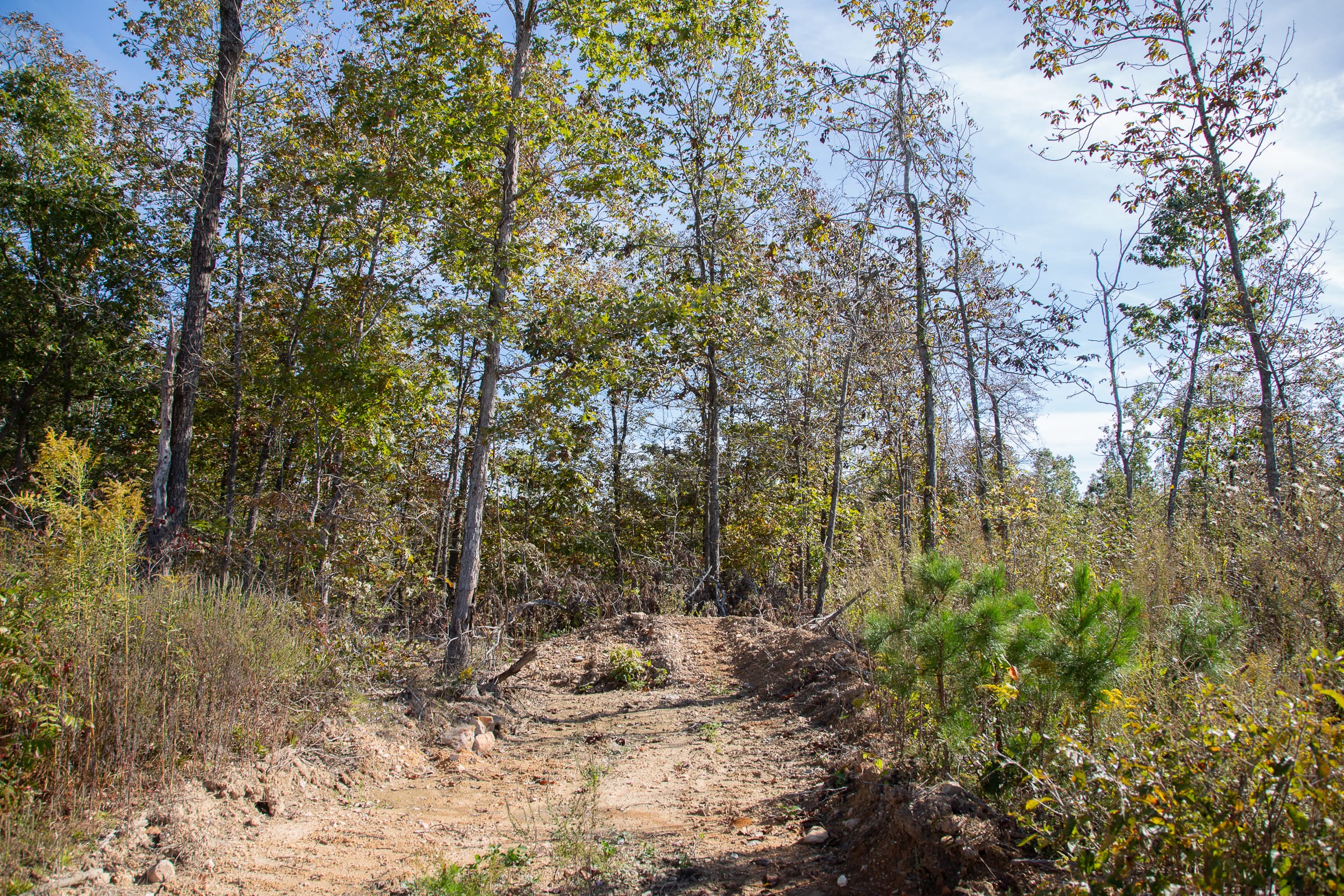 Borgmann’s Hollow Phase IV Tract 128 photo 15