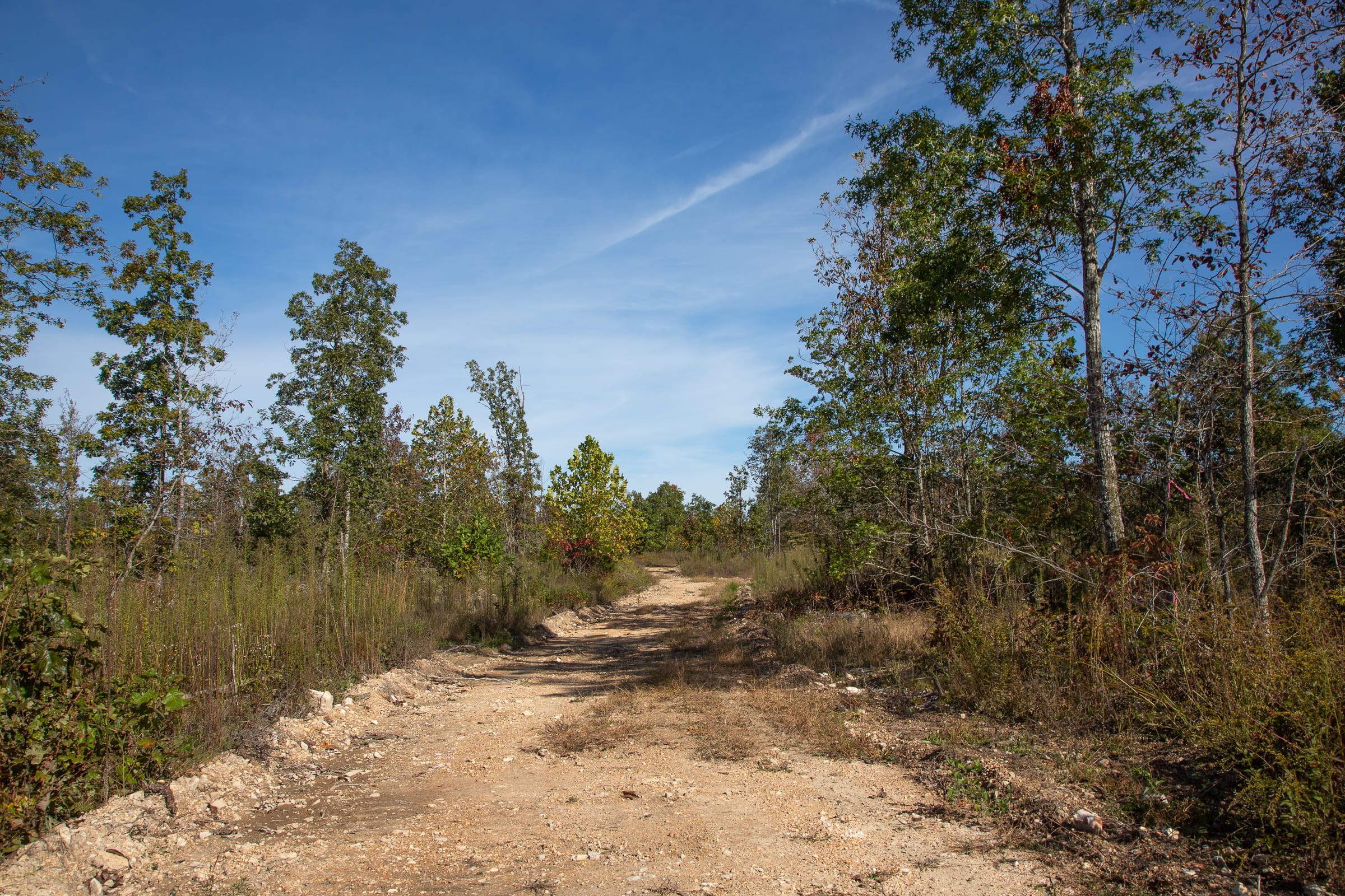 Borgmann’s Hollow Phase IV Tract 128 photo 16