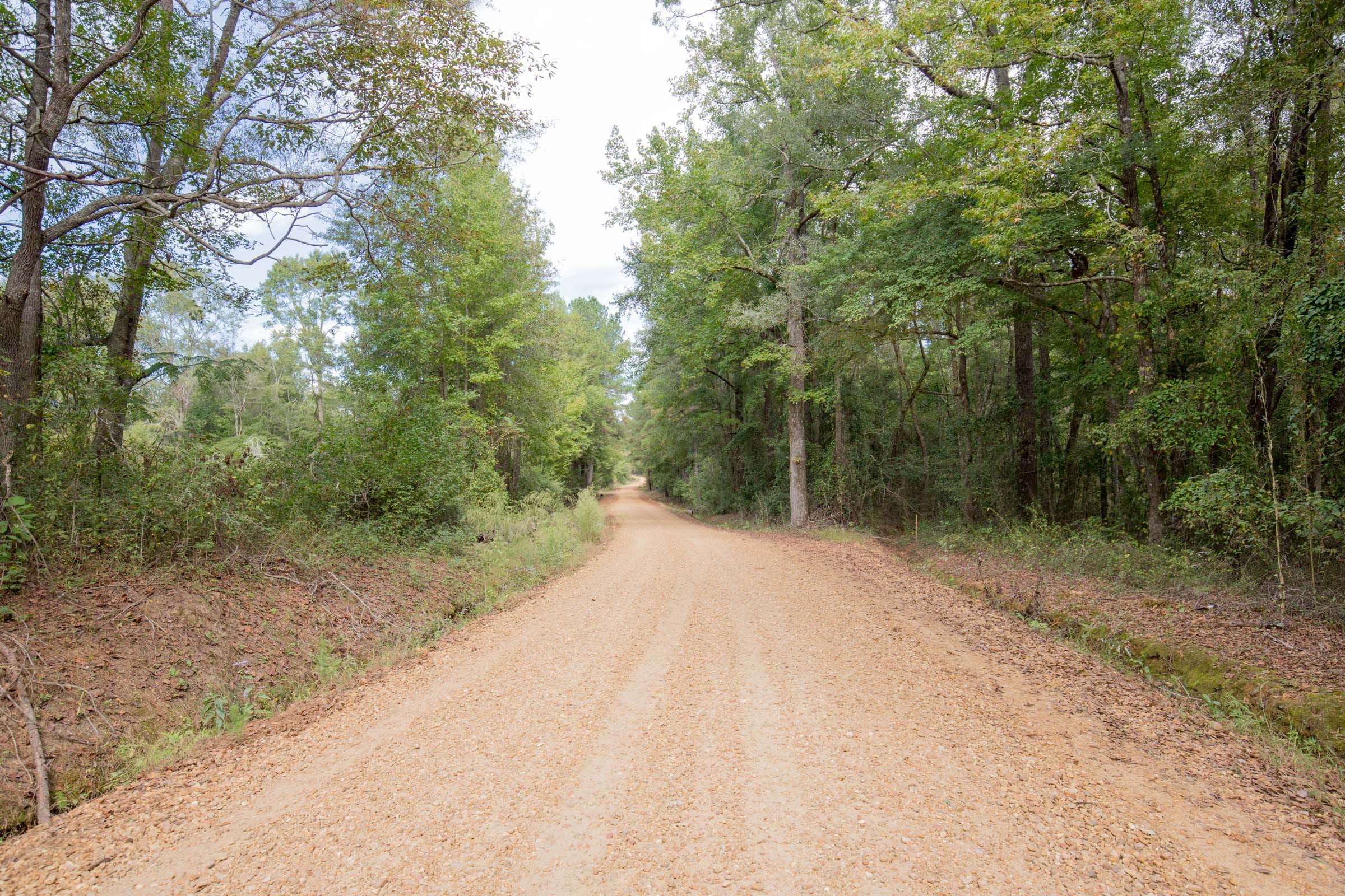 Sky Ranch Tract 11 photo 7
