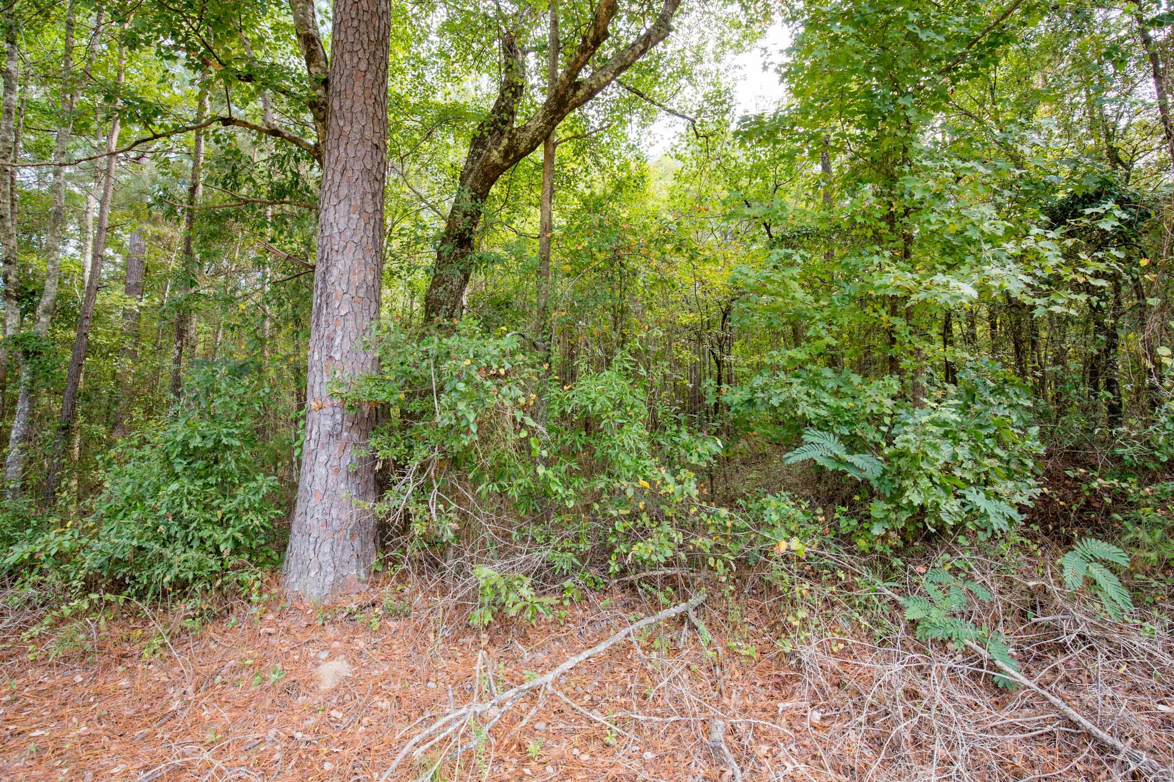 Sky Ranch Tract 11 photo 2