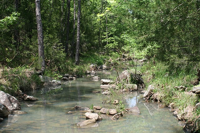 Pushmataha Tract 13 photo 3