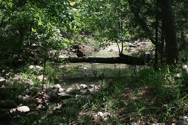 Pushmataha Tract 13 photo 6