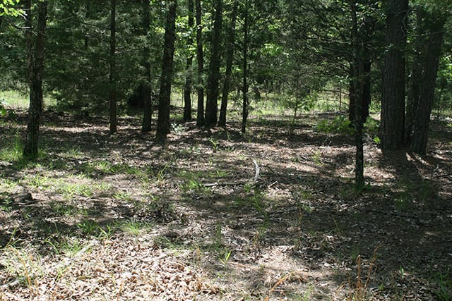 Pushmataha Tract 13 photo 8