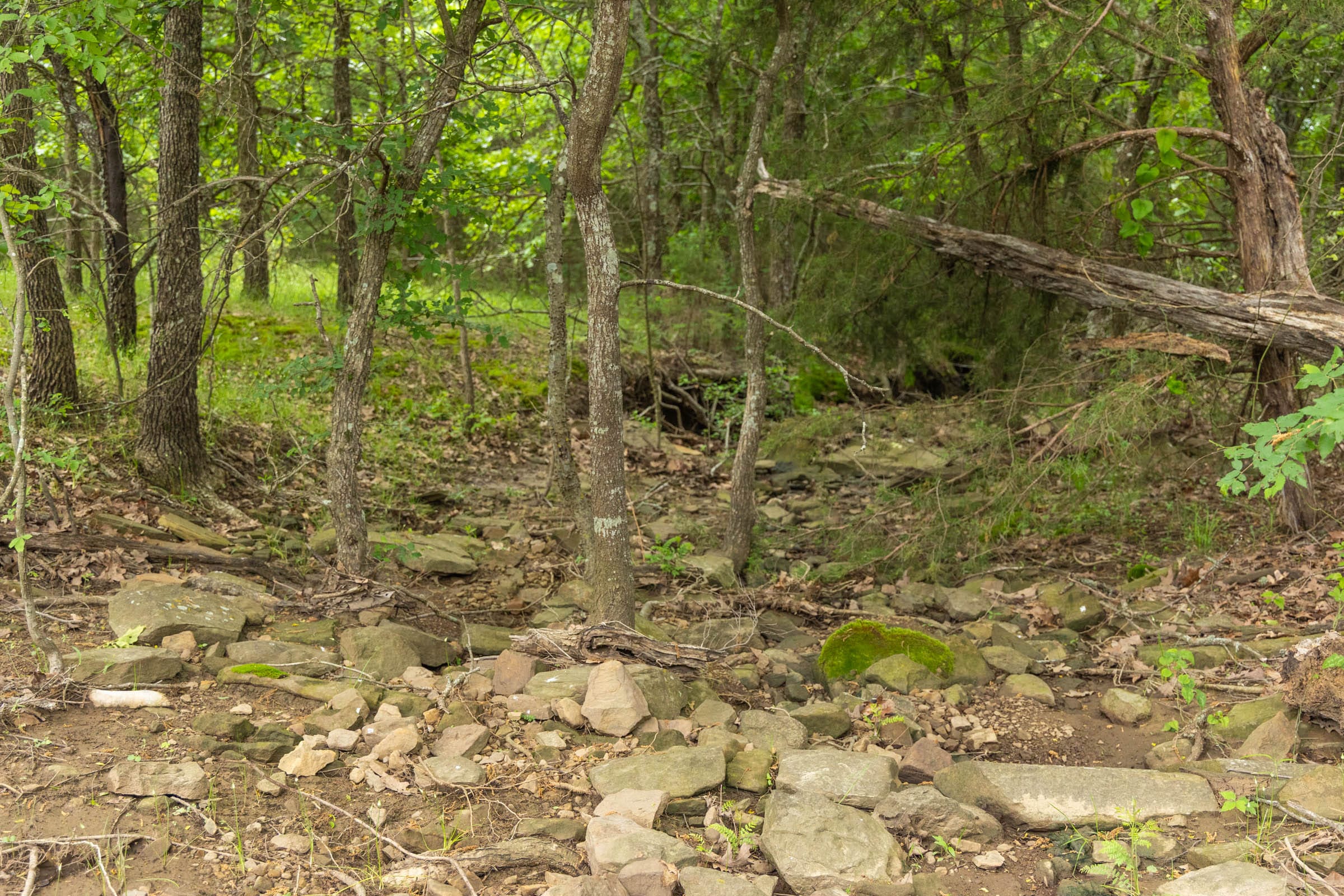 Harmony Hills Tract 14 photo 6