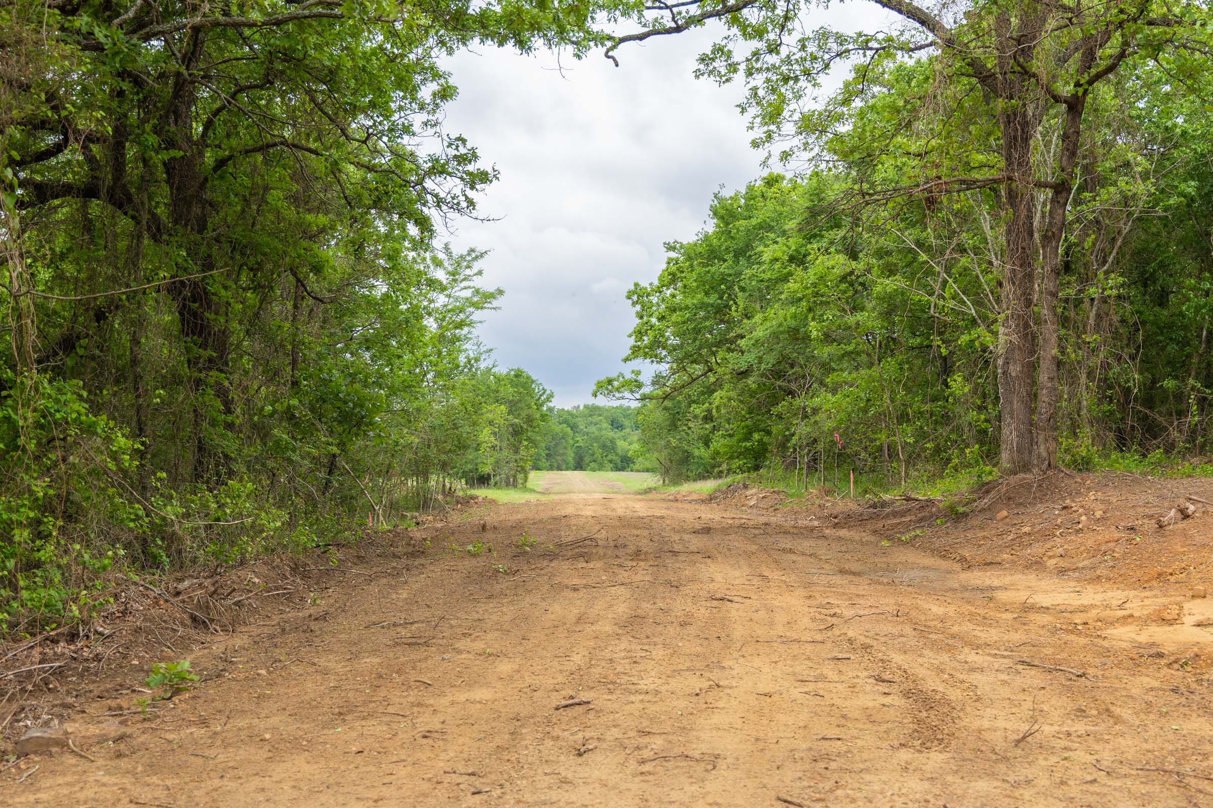 Harmony Hills Tract 14 photo 3