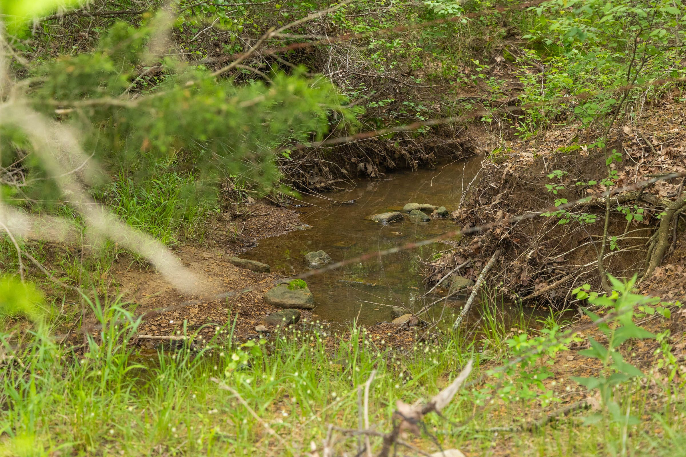 Harmony Hills Tract 14 photo 11