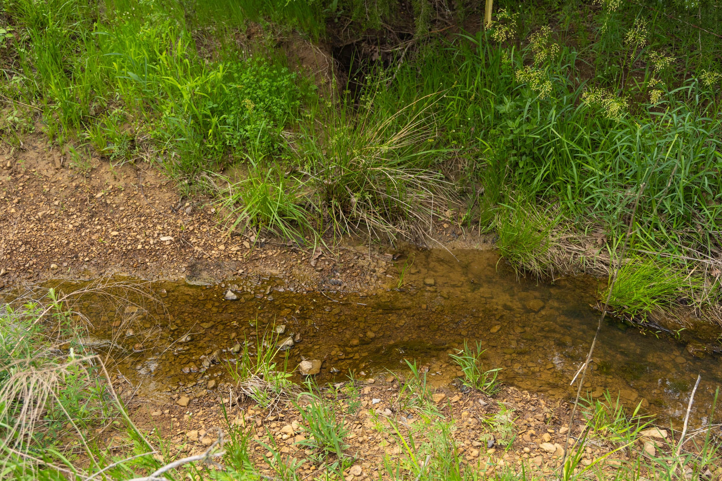 Harmony Hills Tract 14 photo 8