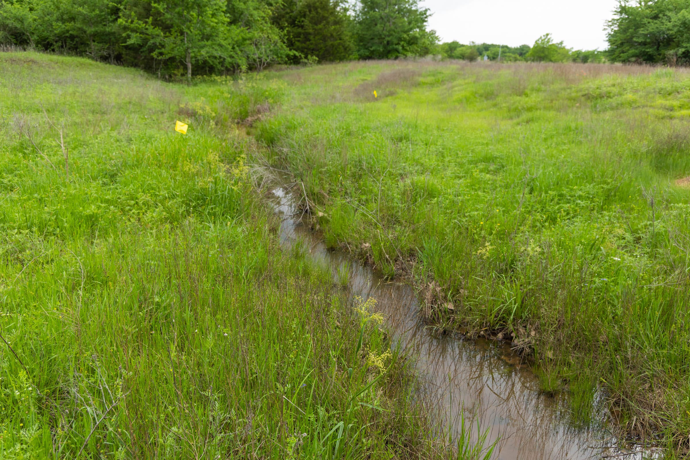 Harmony Hills Tract 14 photo 2