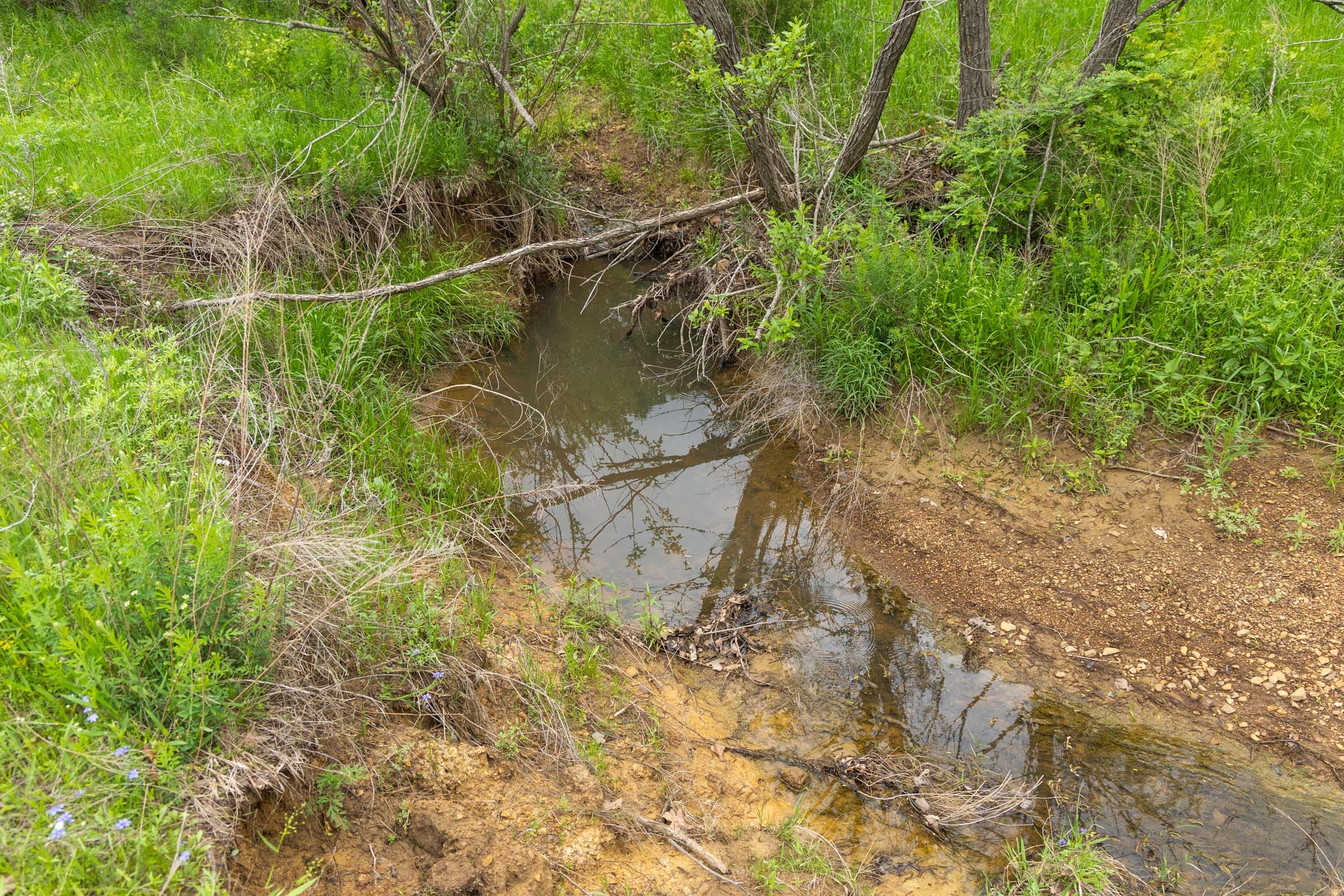 Harmony Hills Tract 14 photo 9