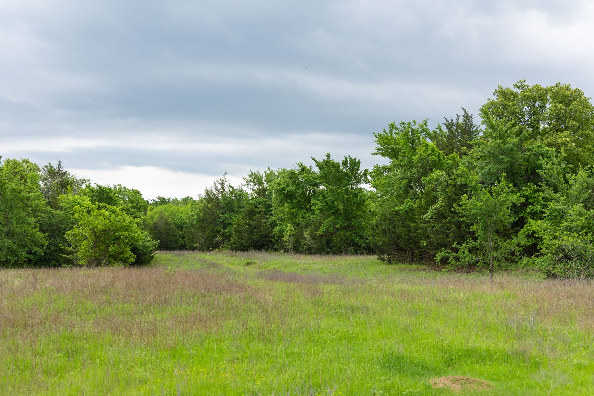 Harmony Hills Tract 14 photo 7