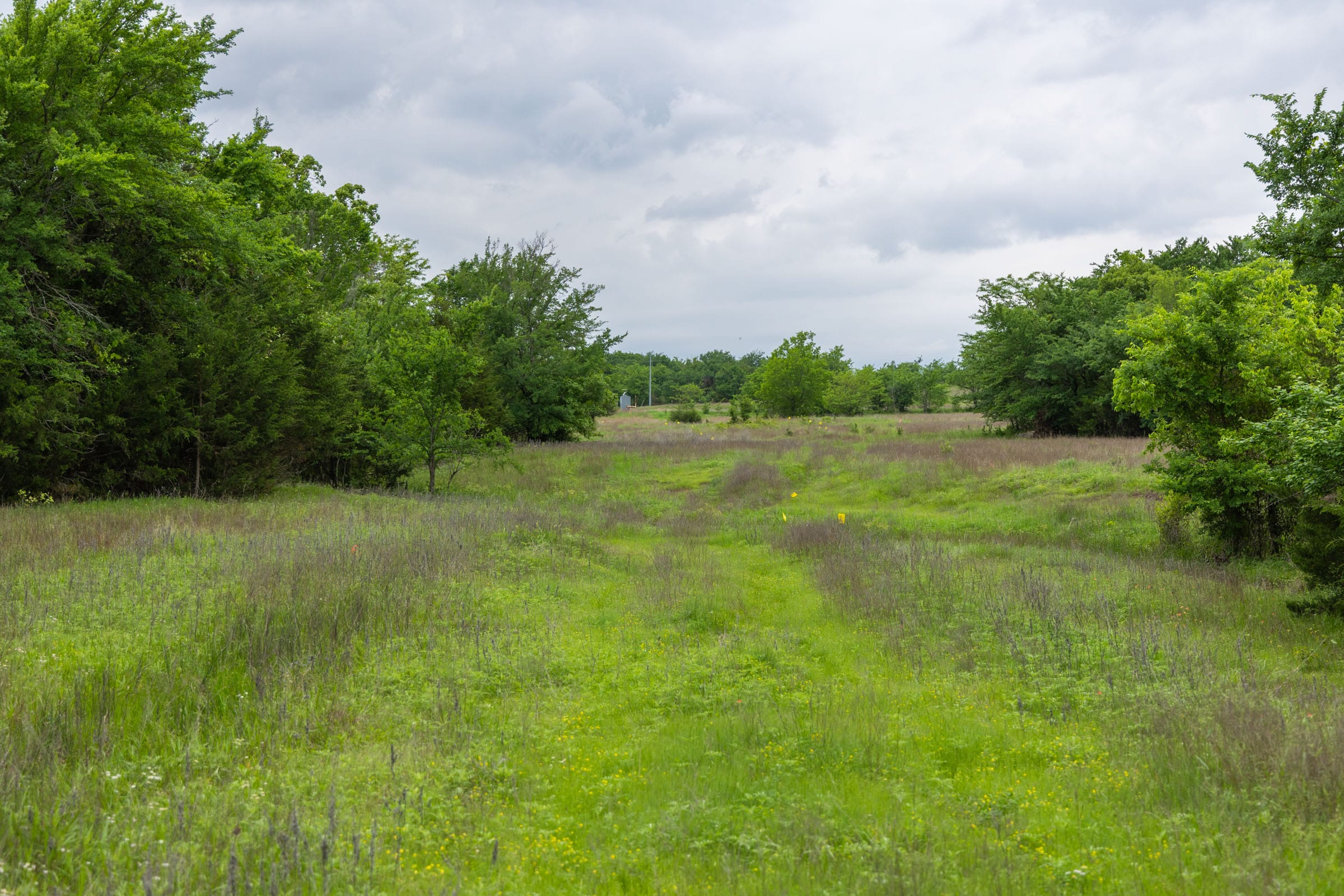 Harmony Hills Tract 14 photo 5