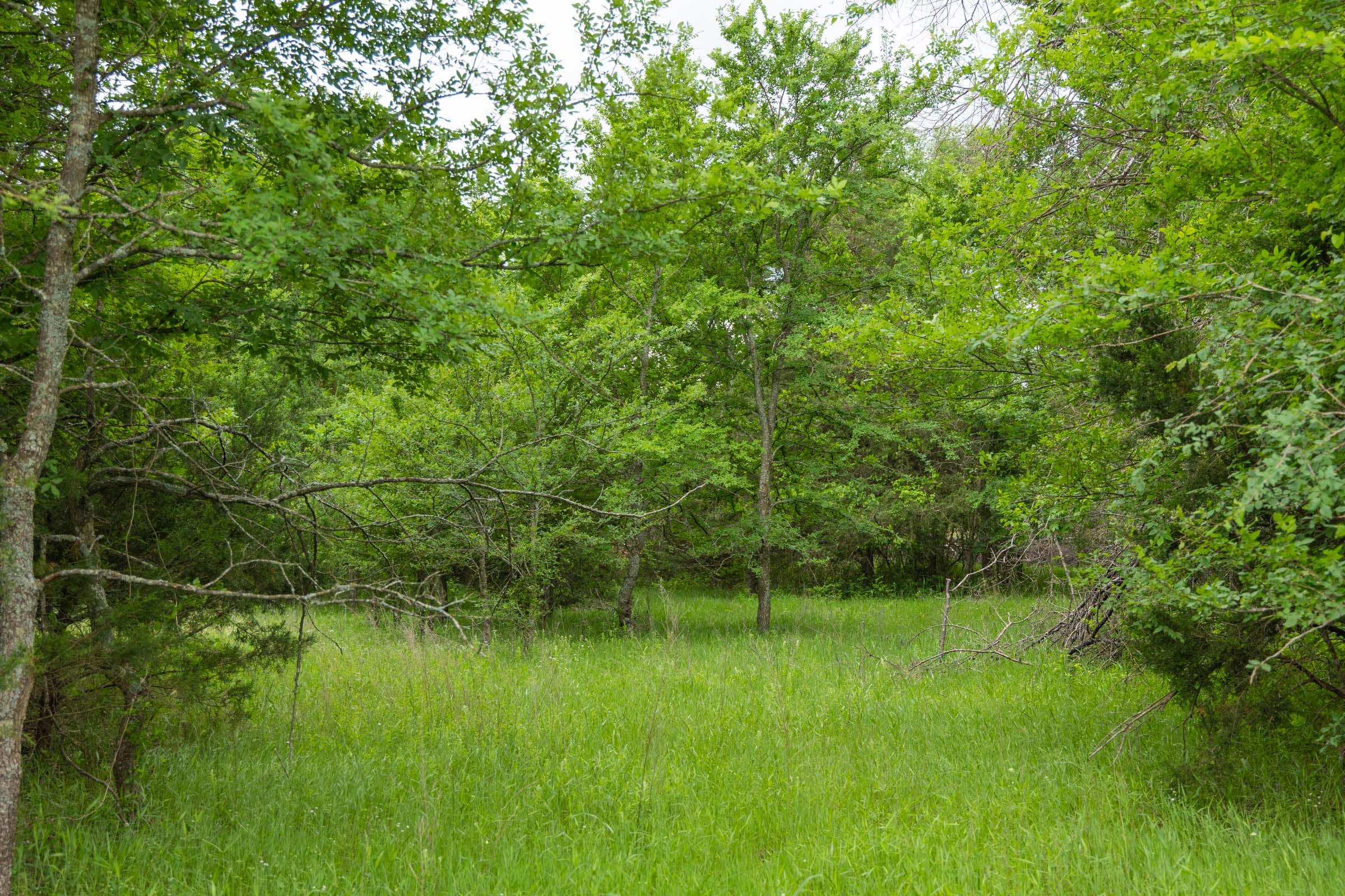 Harmony Hills Tract 14 photo 4