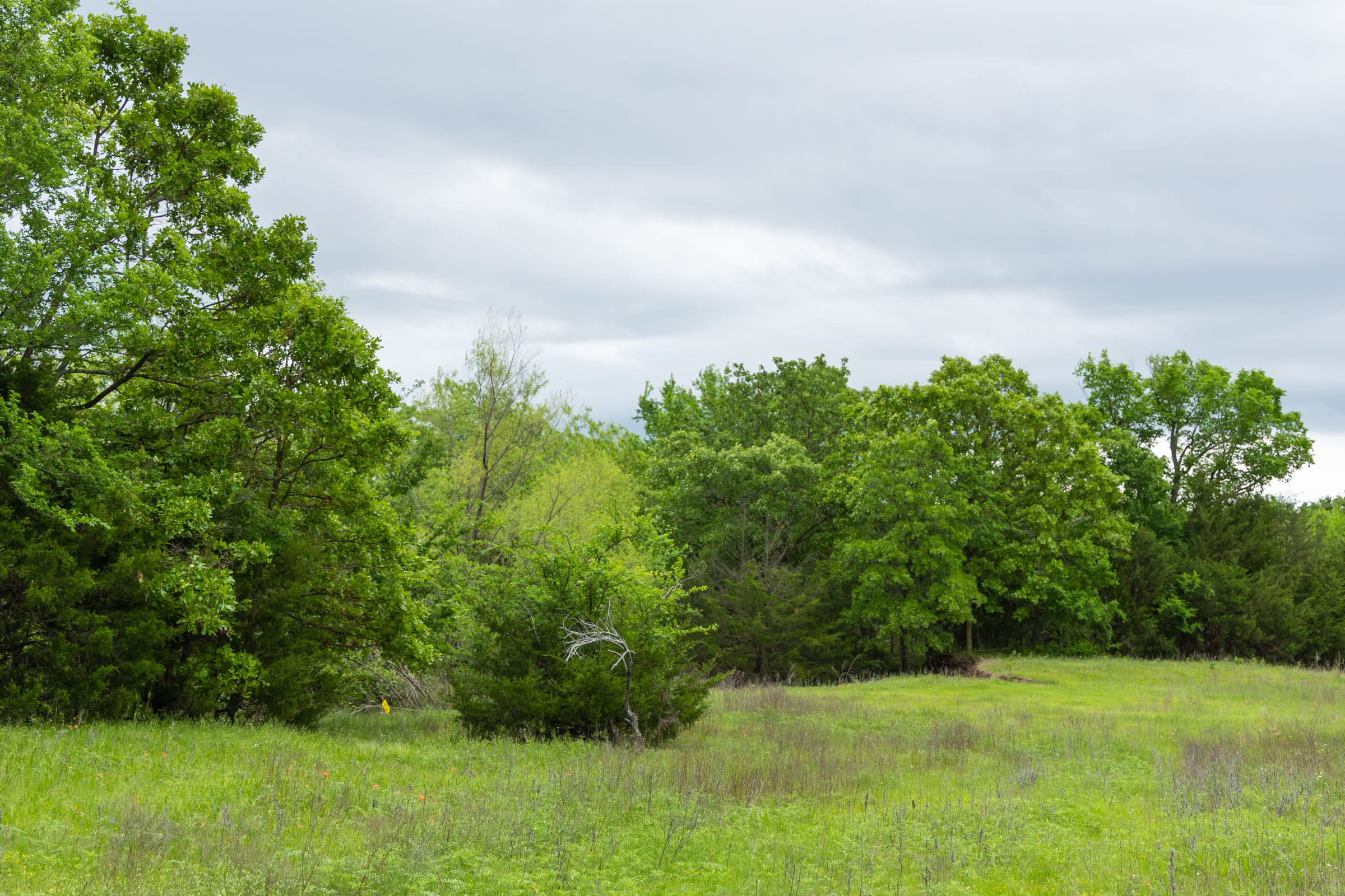 Harmony Hills Tract 14 photo 1