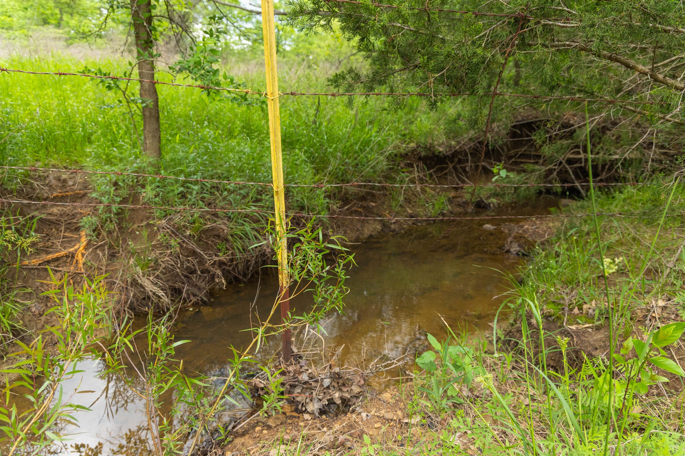 Harmony Hills Tract 14 photo 10