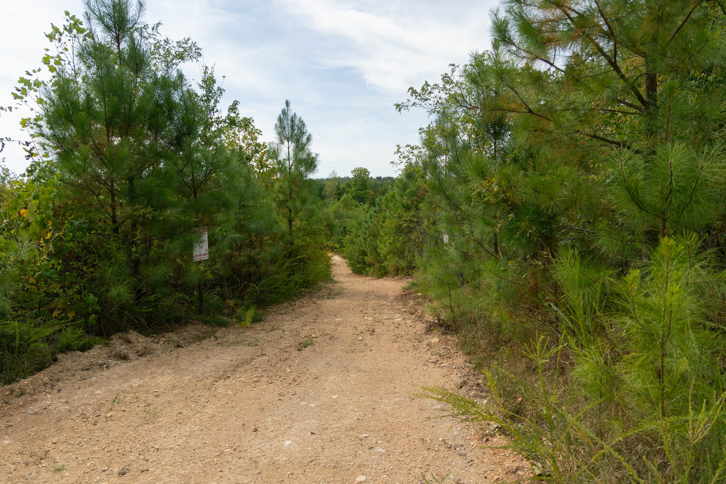 Big White Oak Tract 33 photo 2