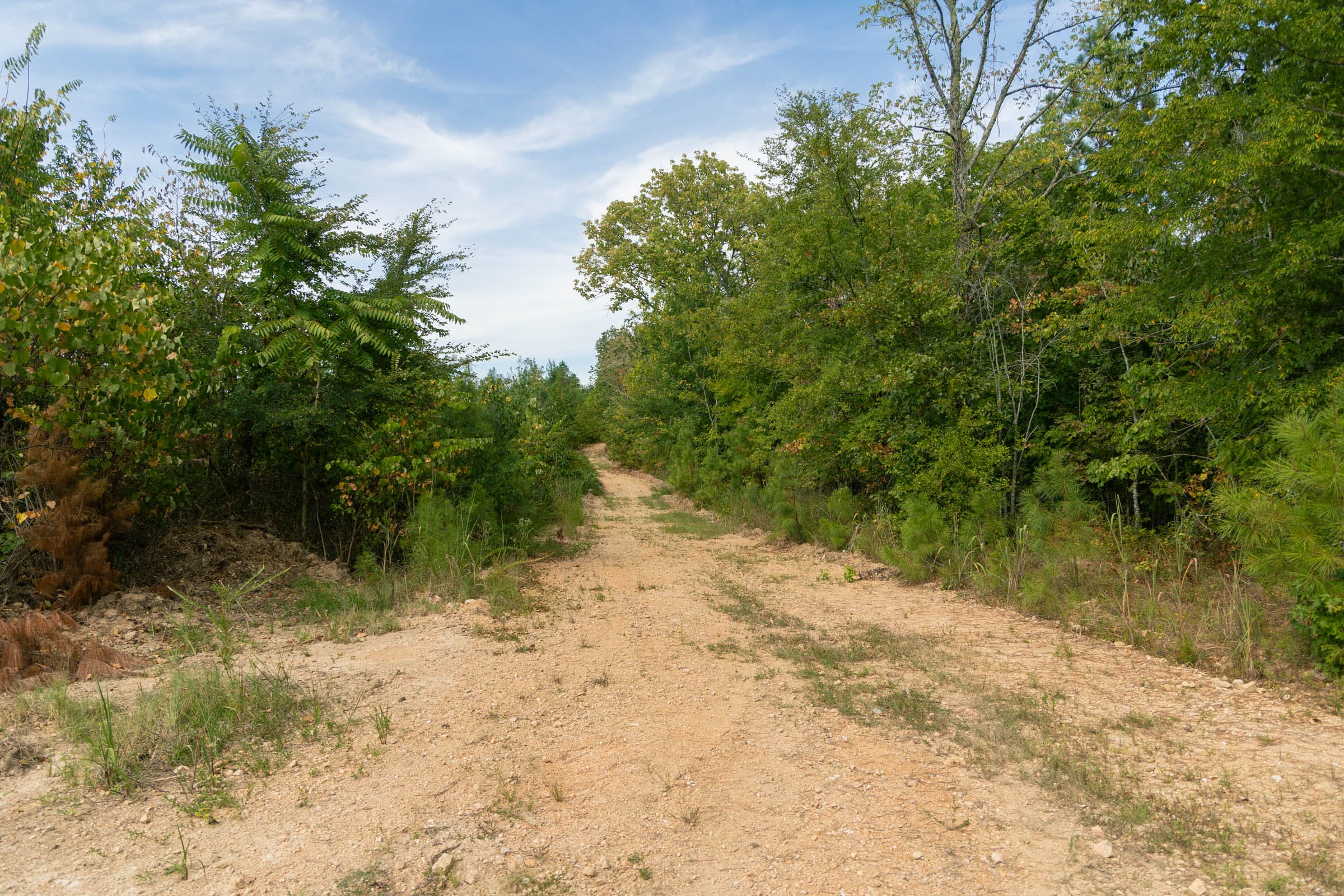 Big White Oak Tract 33 photo 3