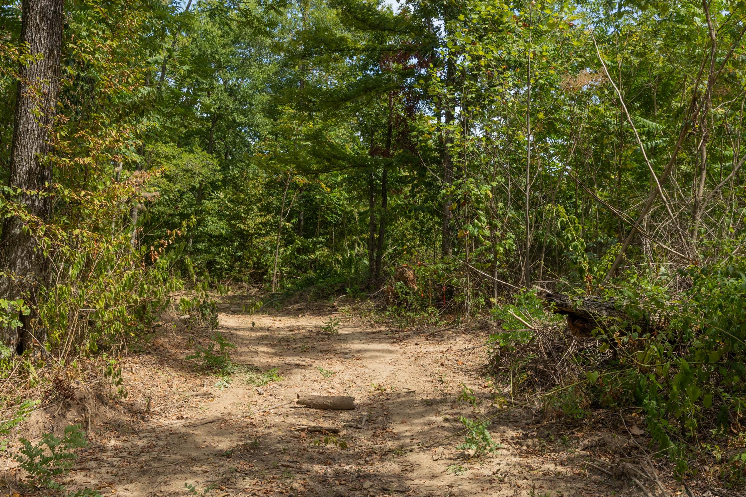 Big White Oak Tract 80 photo 2