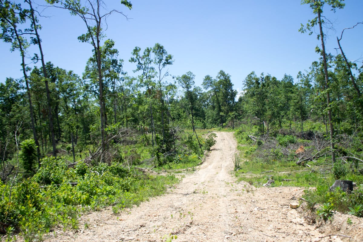 Timber Crossing Tract 17 photo 2