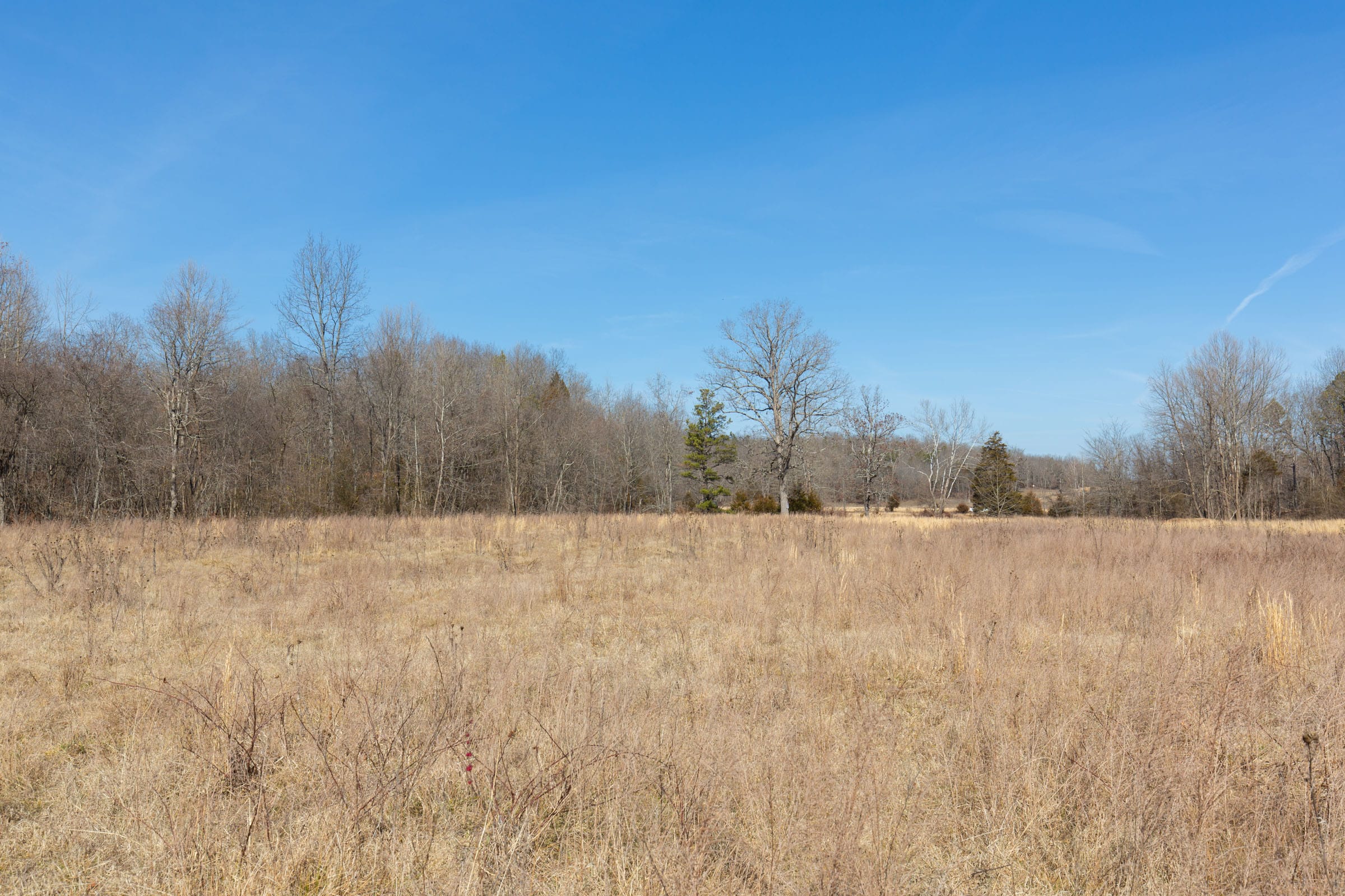 O’Connor Crossing Tract 27 photo 8