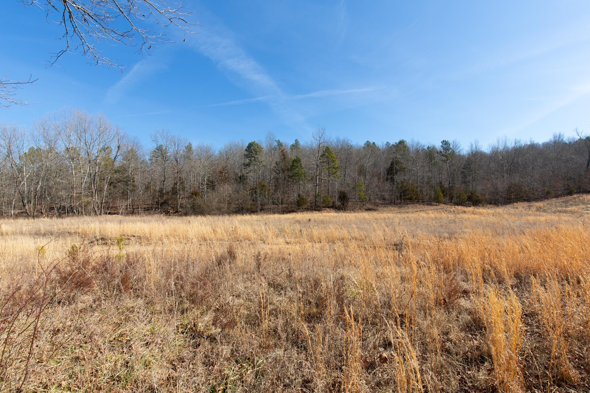 O’Connor Crossing Tract 27 photo 7