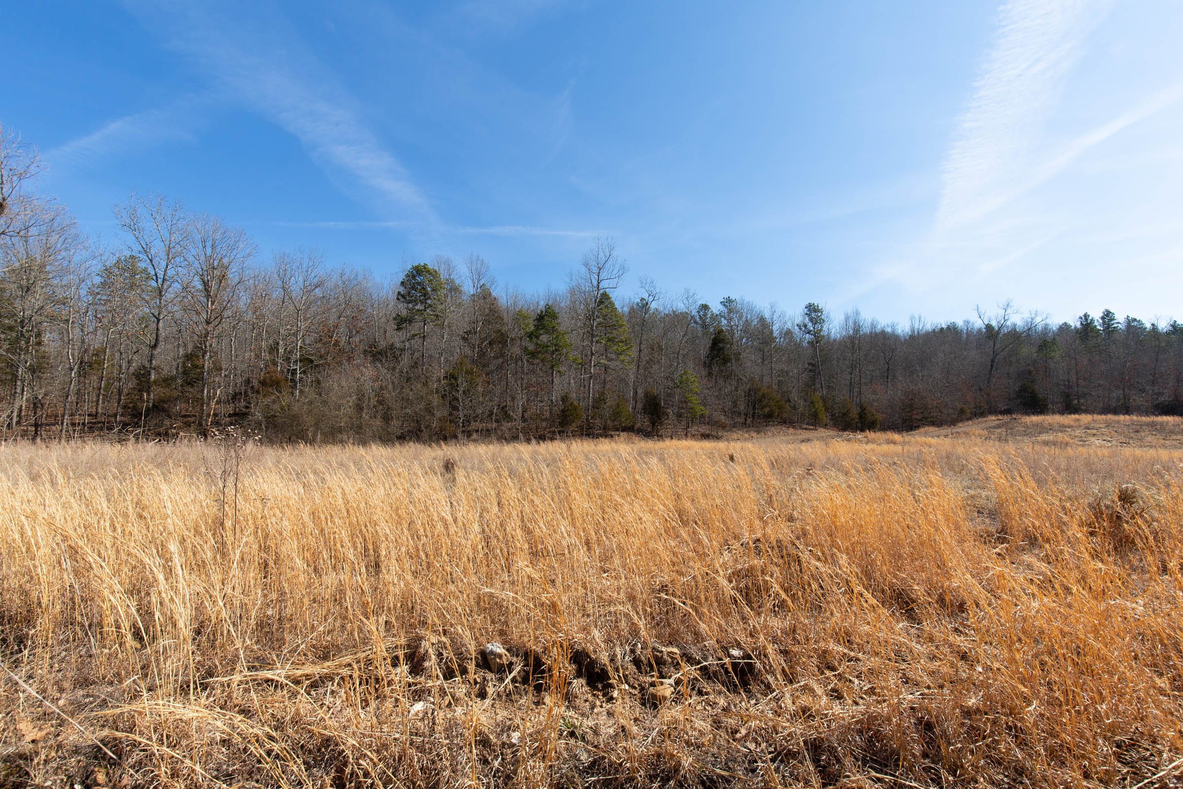 O’Connor Crossing Tract 27 photo 9